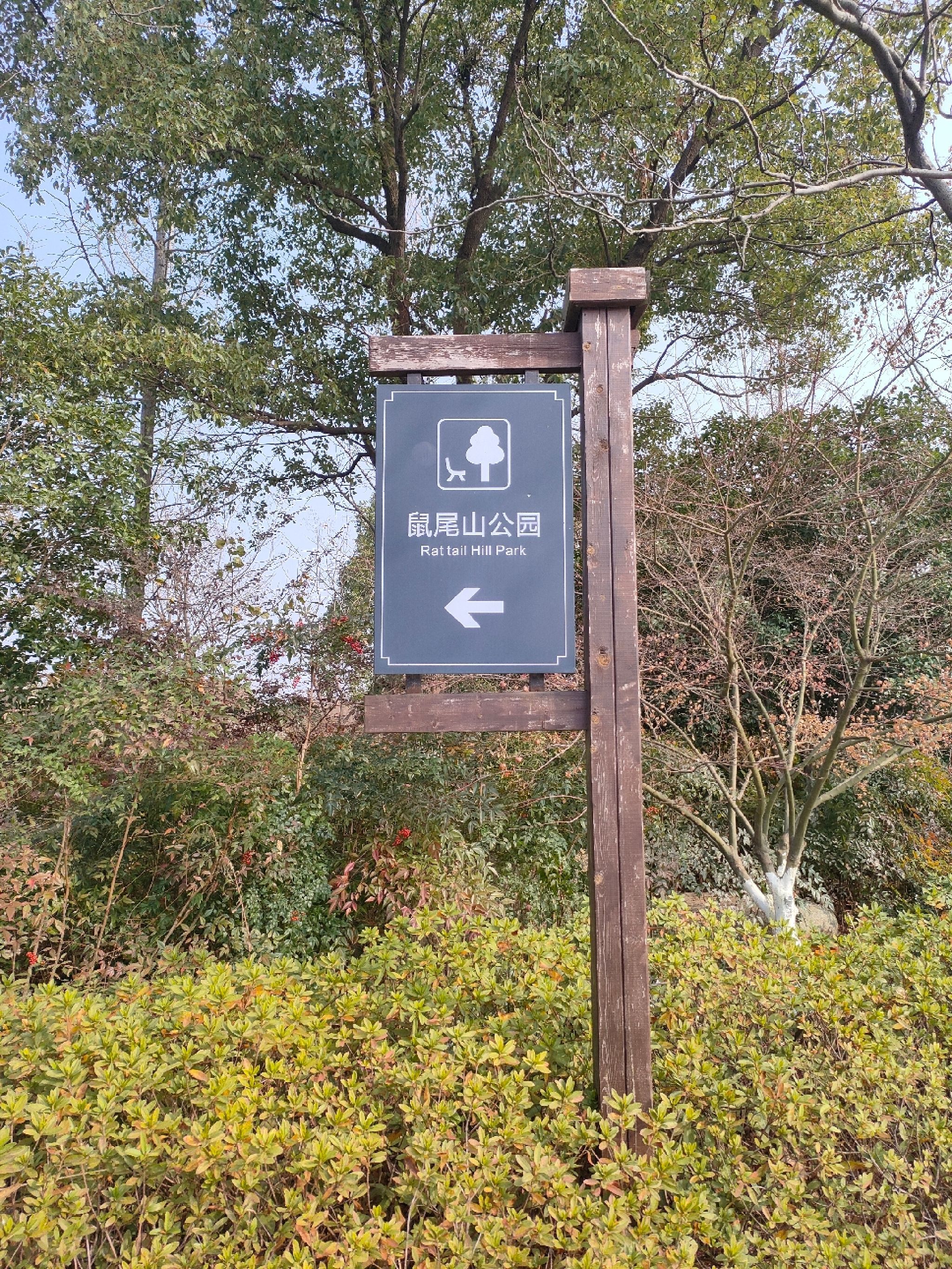 鼠尾山公园