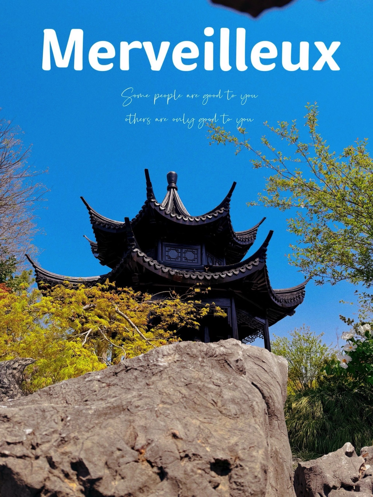 嘉兴植物园旅行图片 1