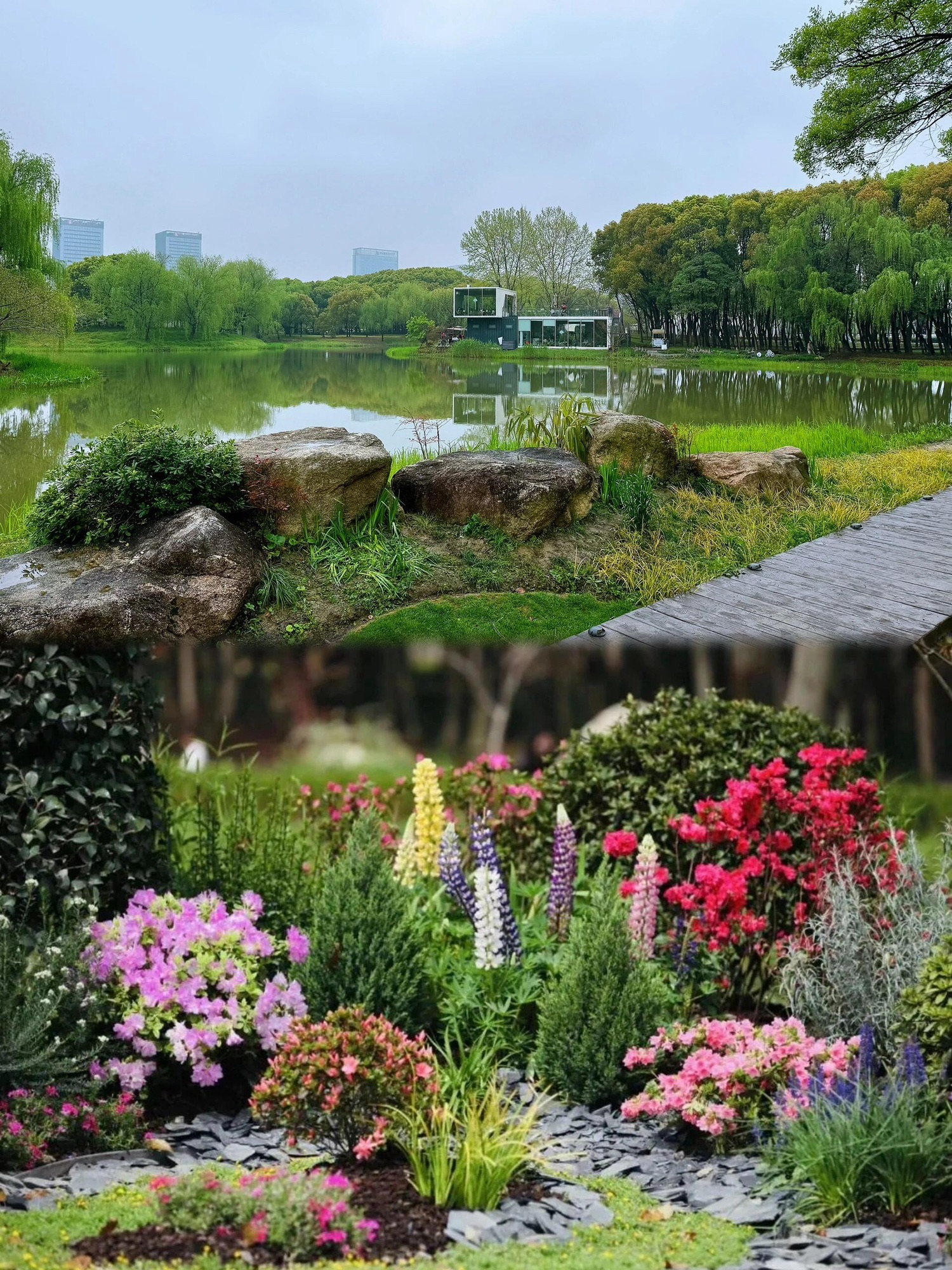 嘉兴植物园旅行图片 3