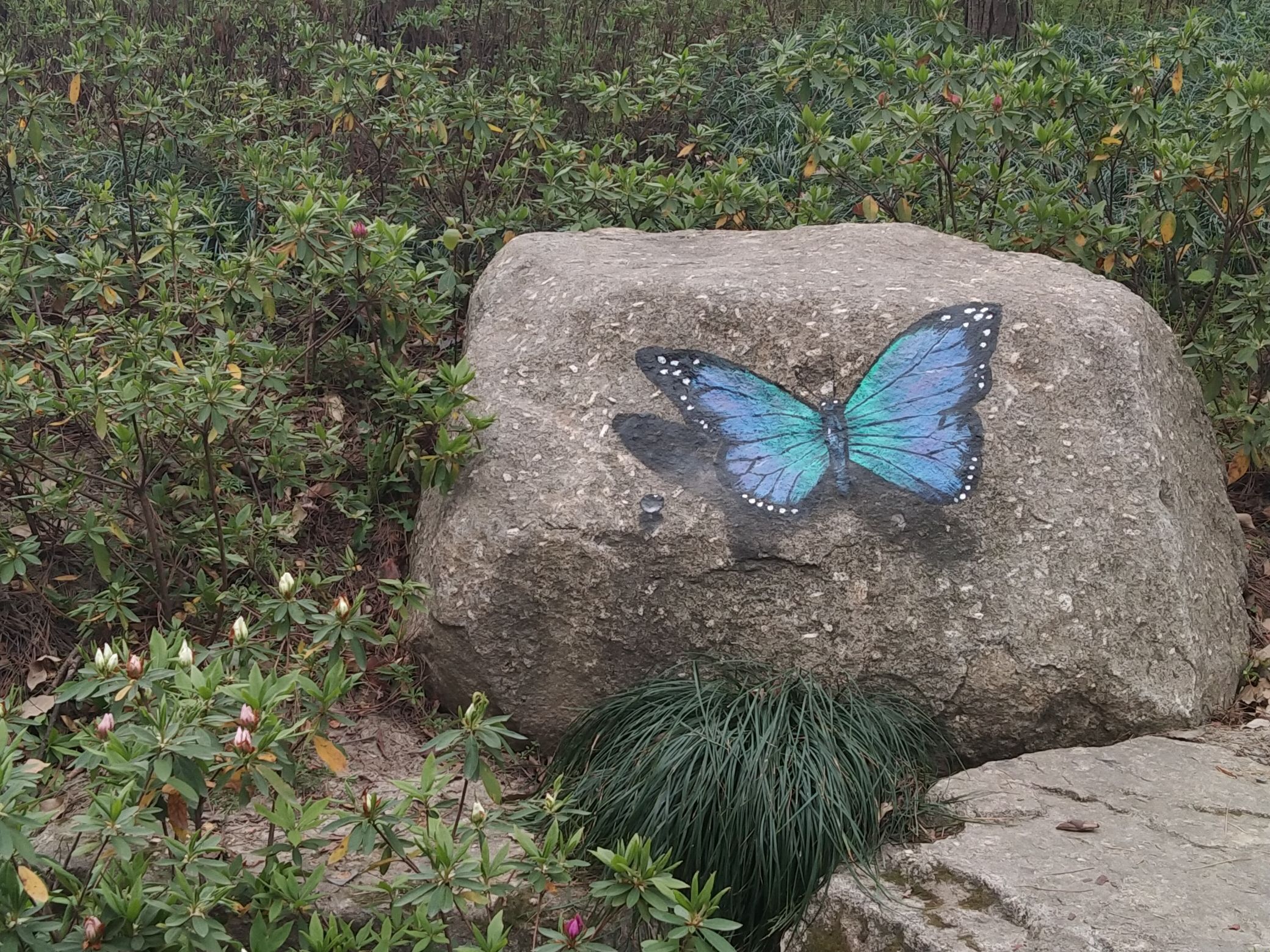 嘉兴植物园旅行图片 2