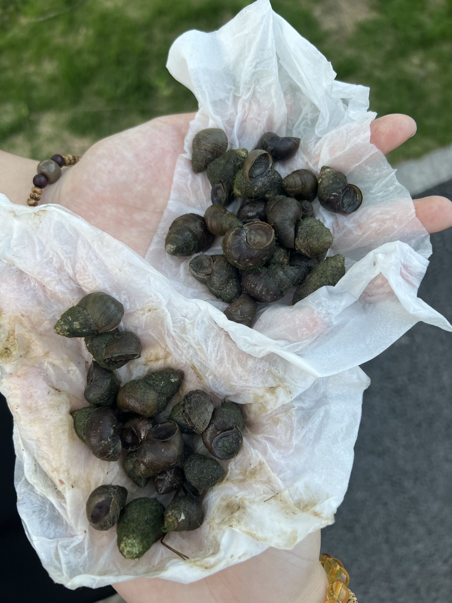 嘉兴植物园旅行图片 2