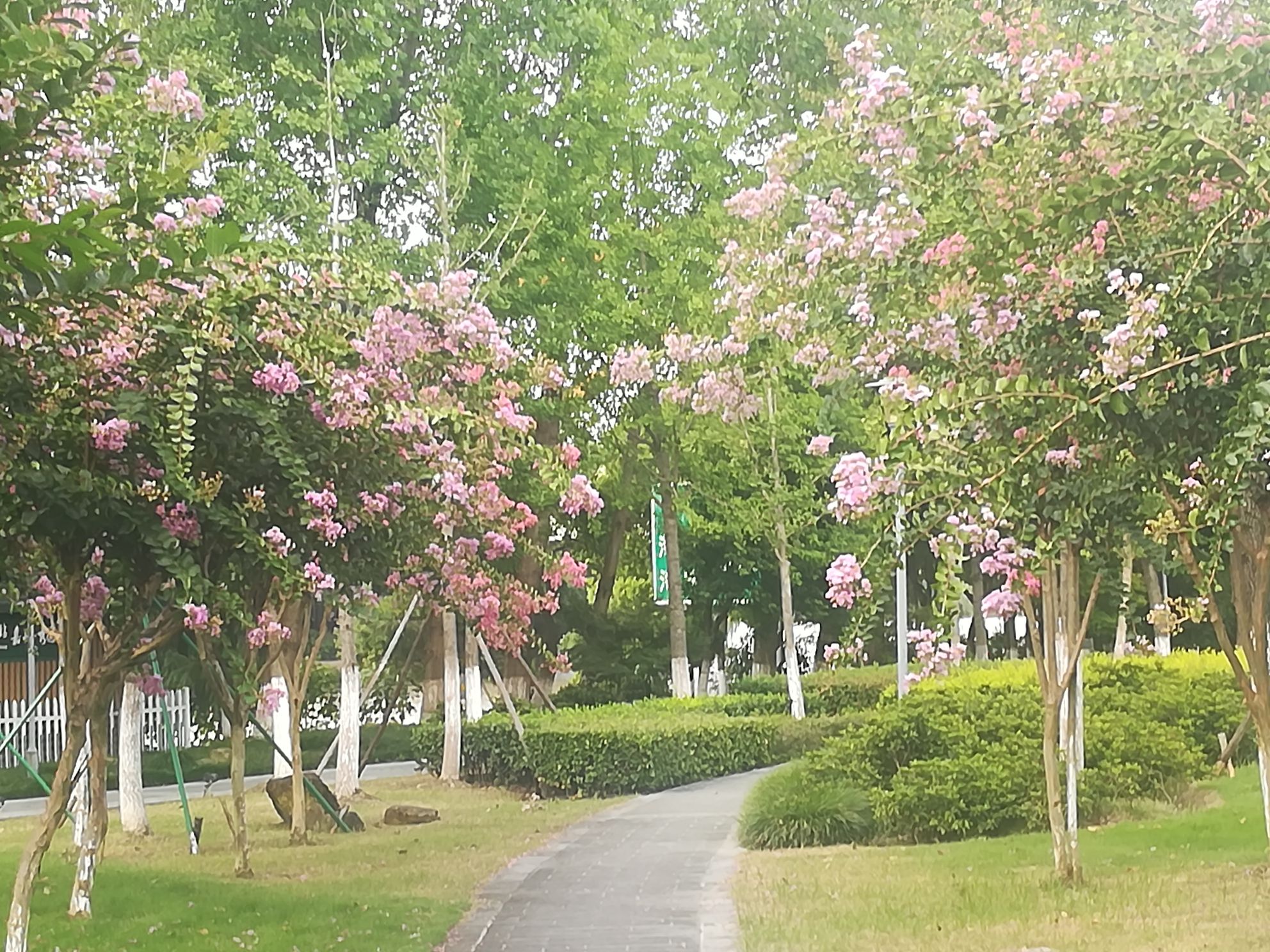 秀洲运河文化公园旅行图片 1