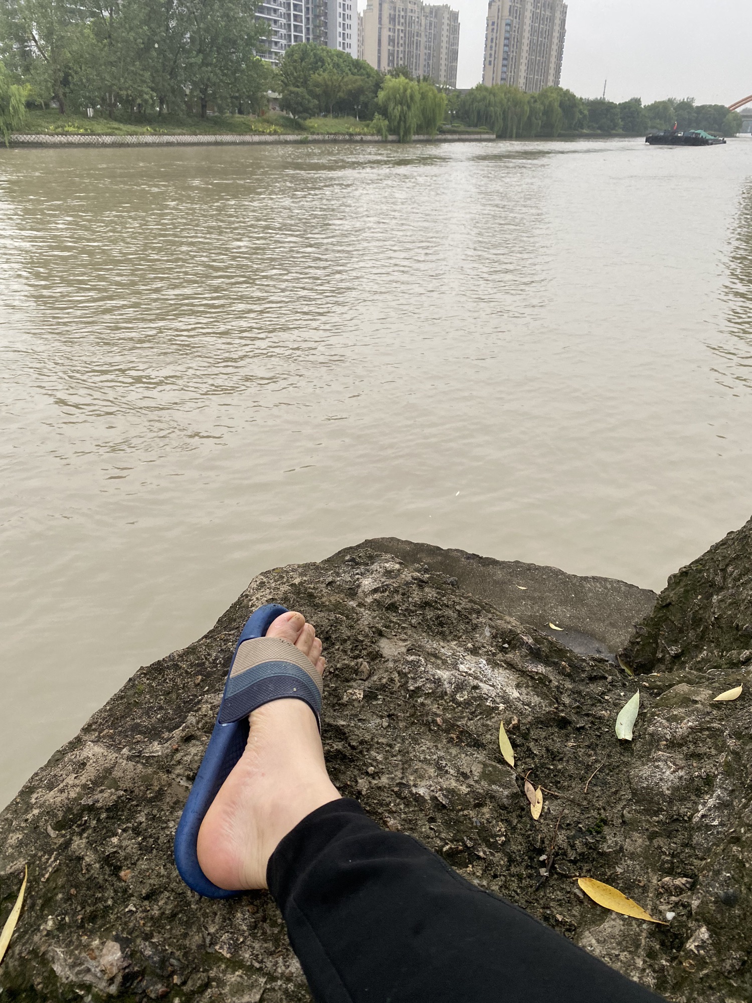 秀洲运河文化公园旅行图片 1