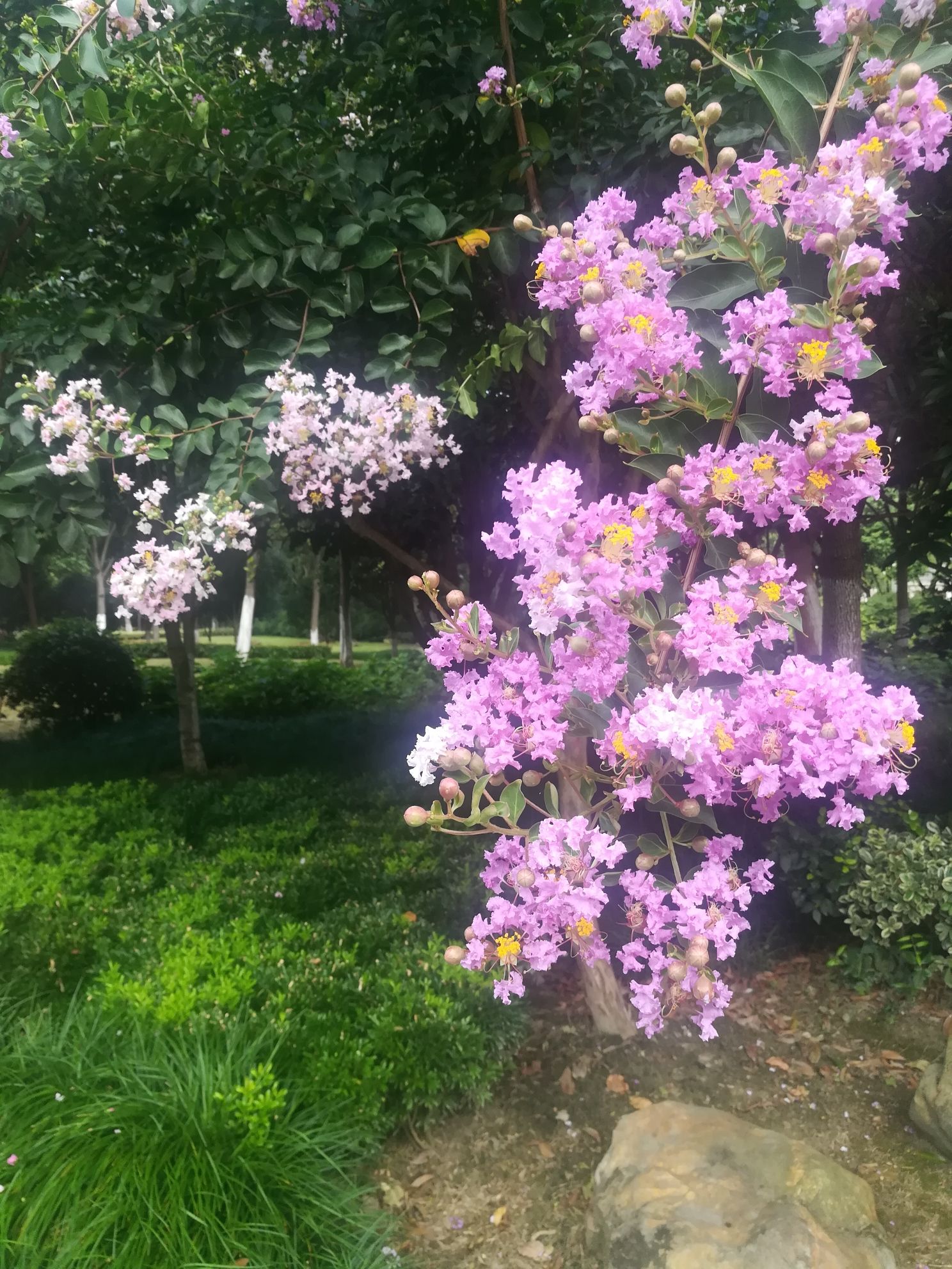 秀洲运河文化公园旅行图片 3