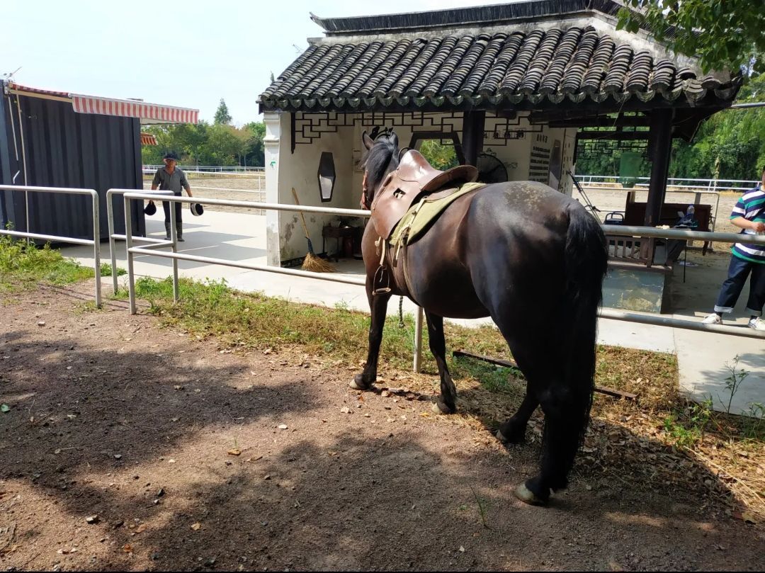 澳多奇农庄旅行图片 2