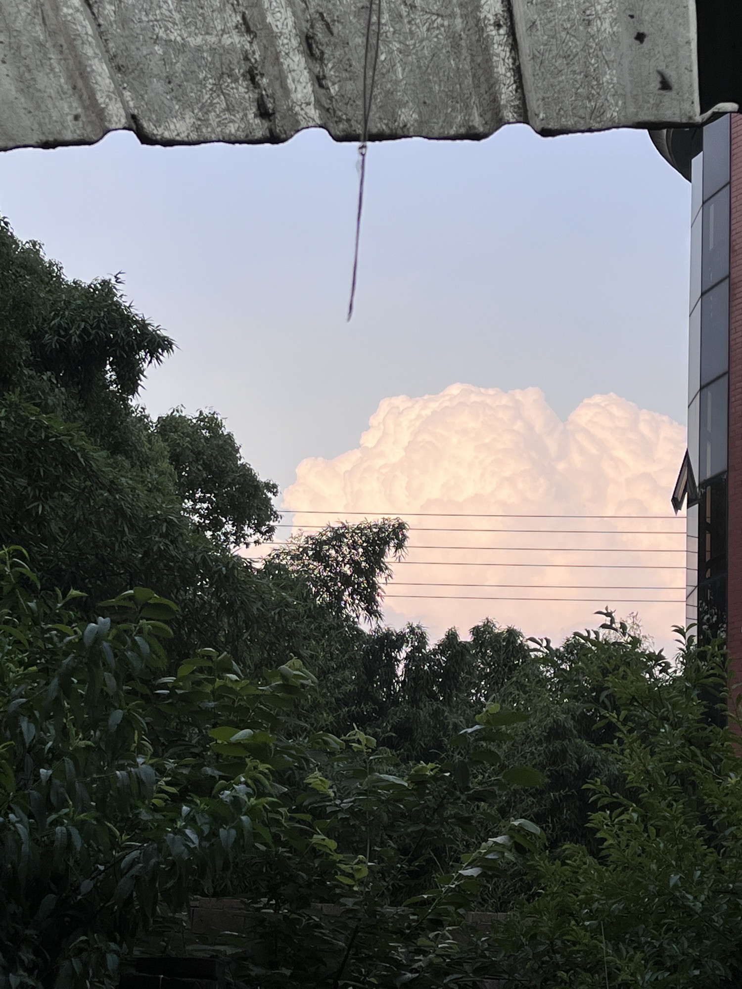 永福公园旅行图片 1
