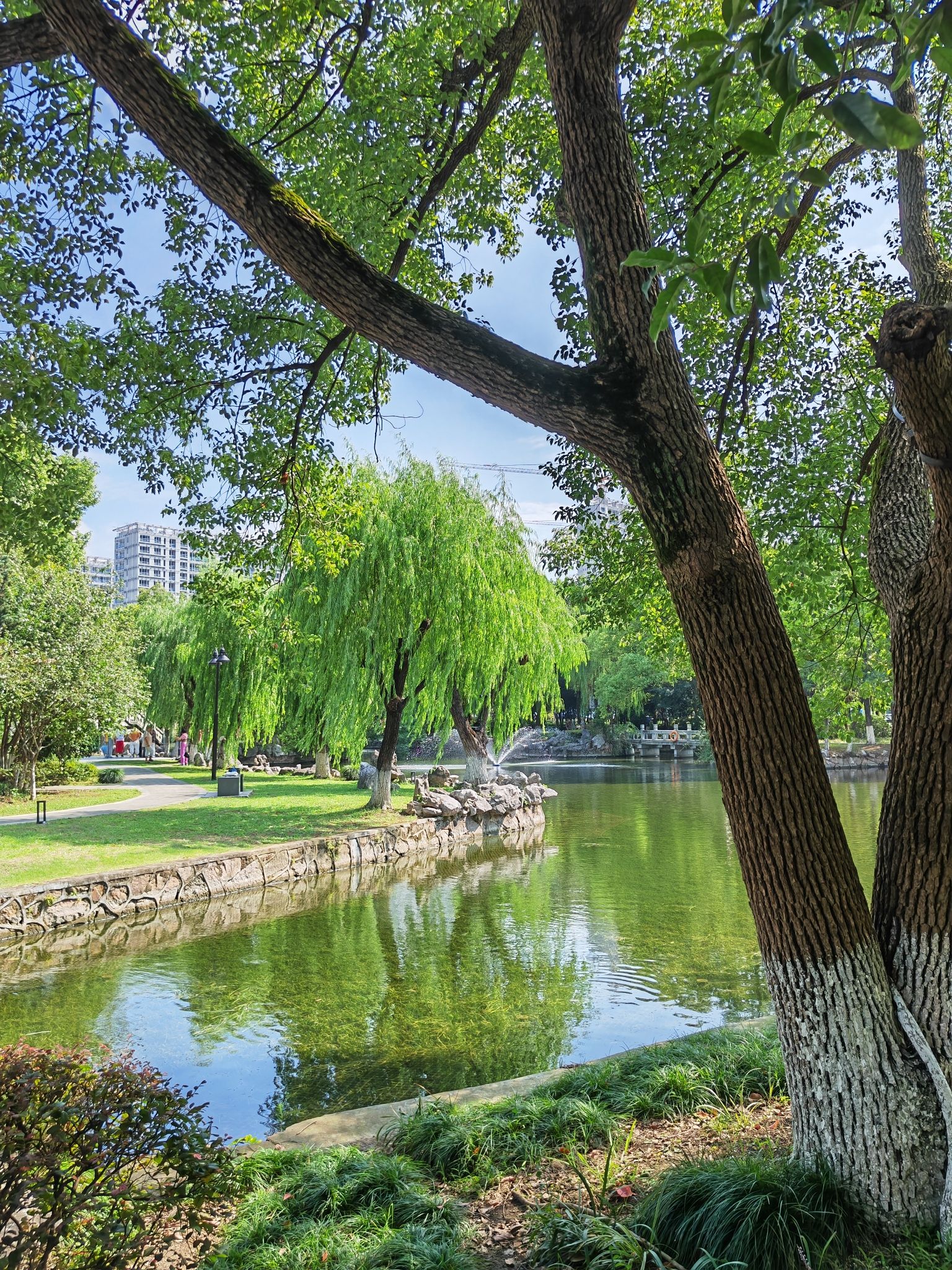 凤鸣公园旅行图片 2