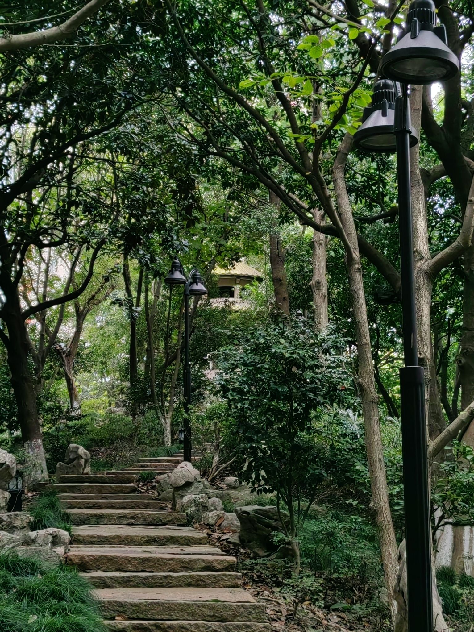 凤鸣公园旅行图片 3