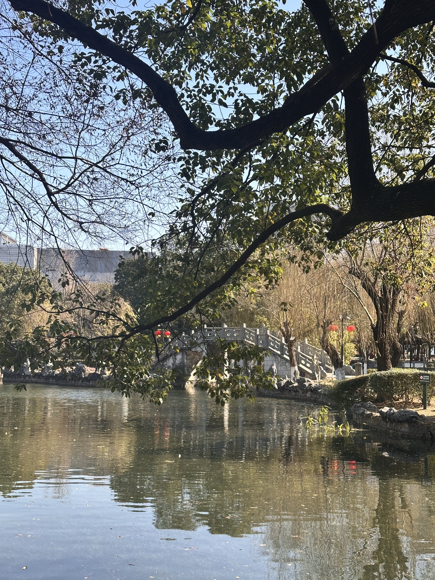 凤鸣公园旅行图片 3