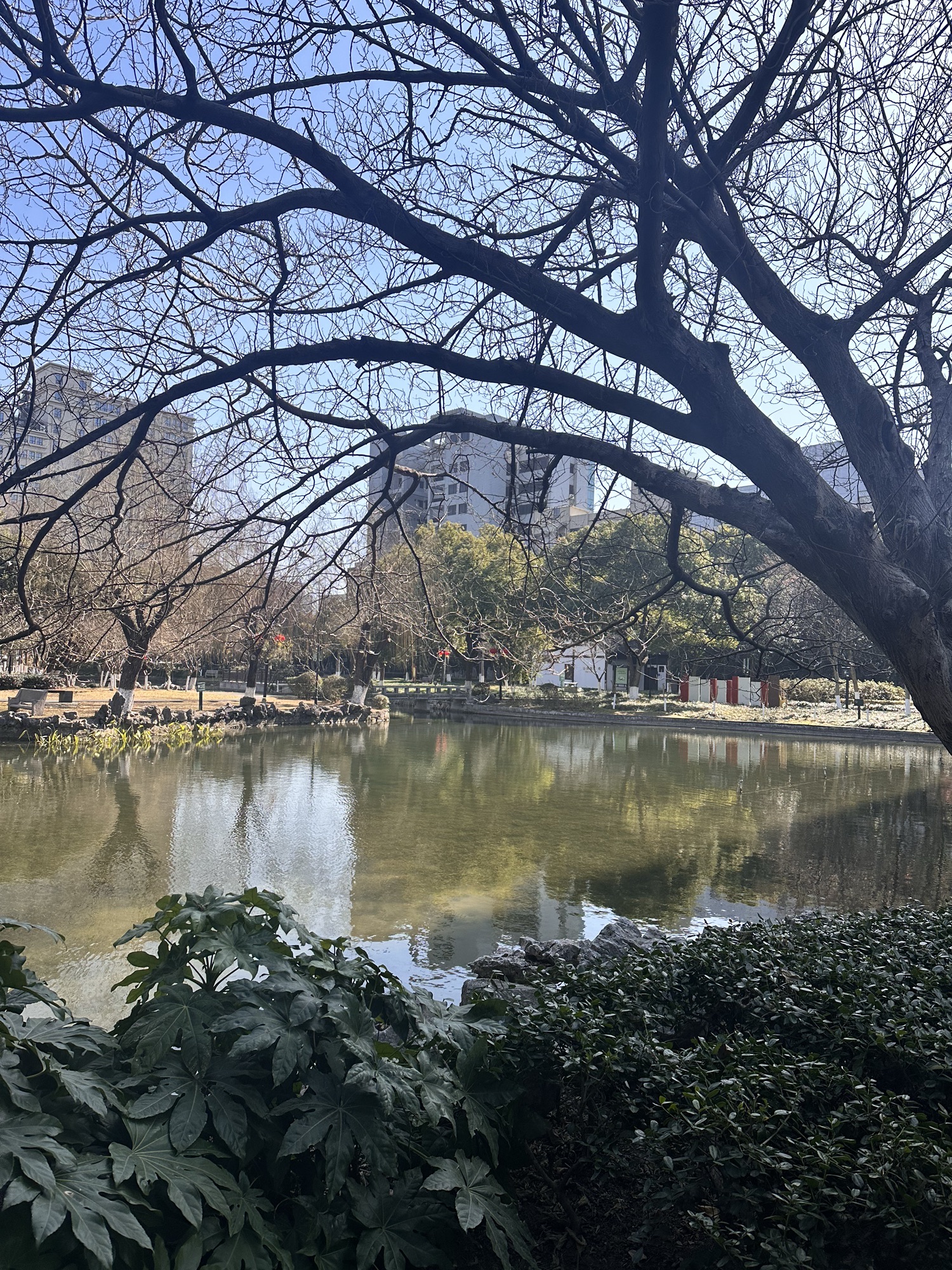 凤鸣公园旅行图片 2
