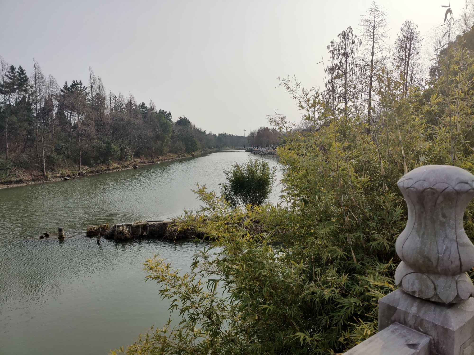 白洋河湿地旅行图片 2