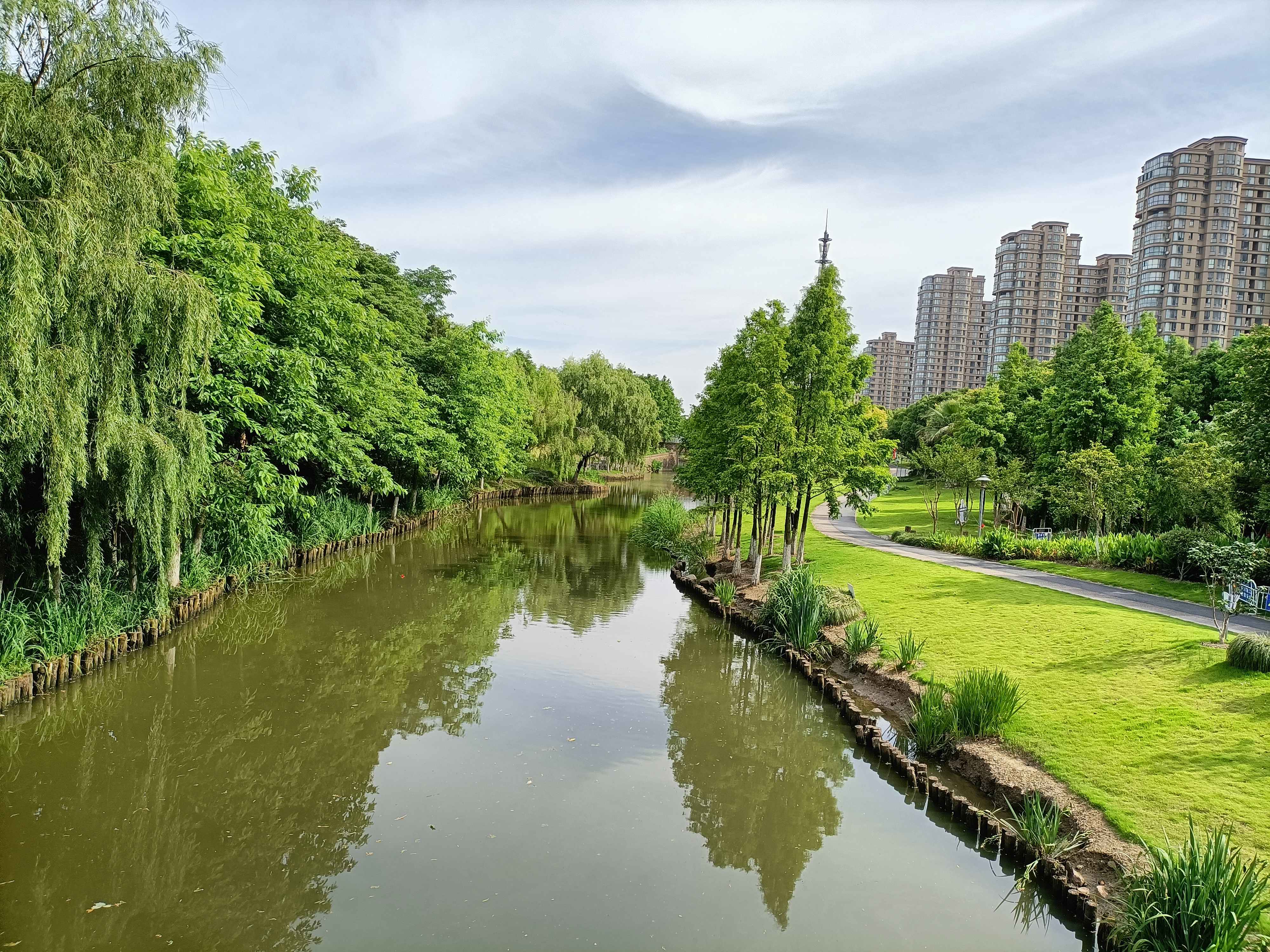 白洋河湿地
