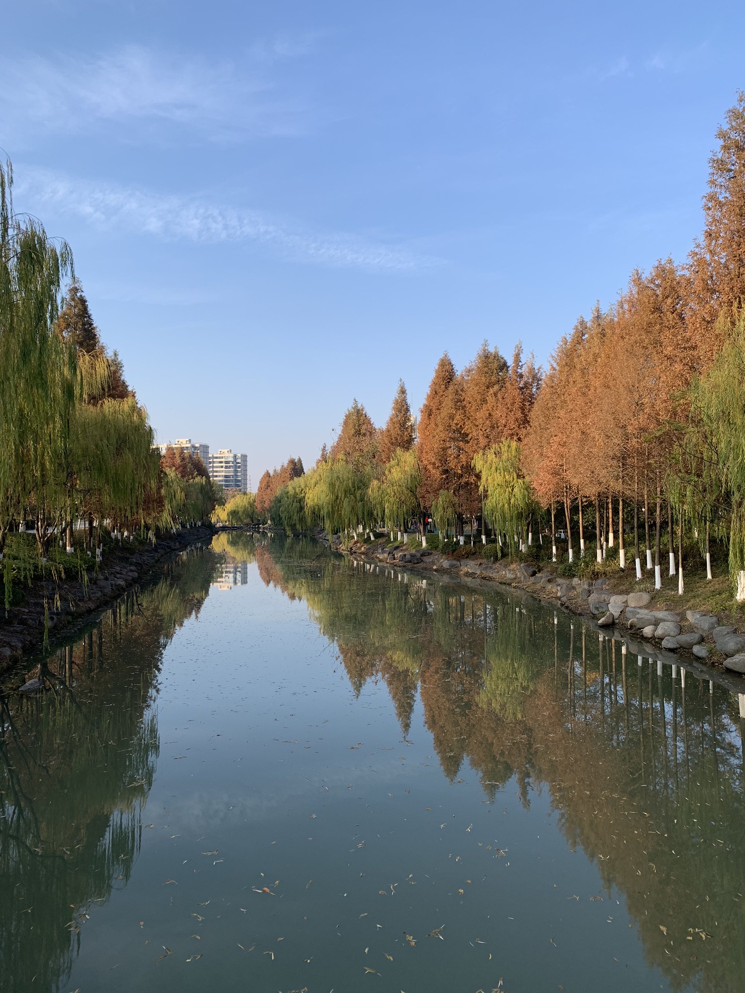 海滨公园(盐平塘东路)旅行图片 1