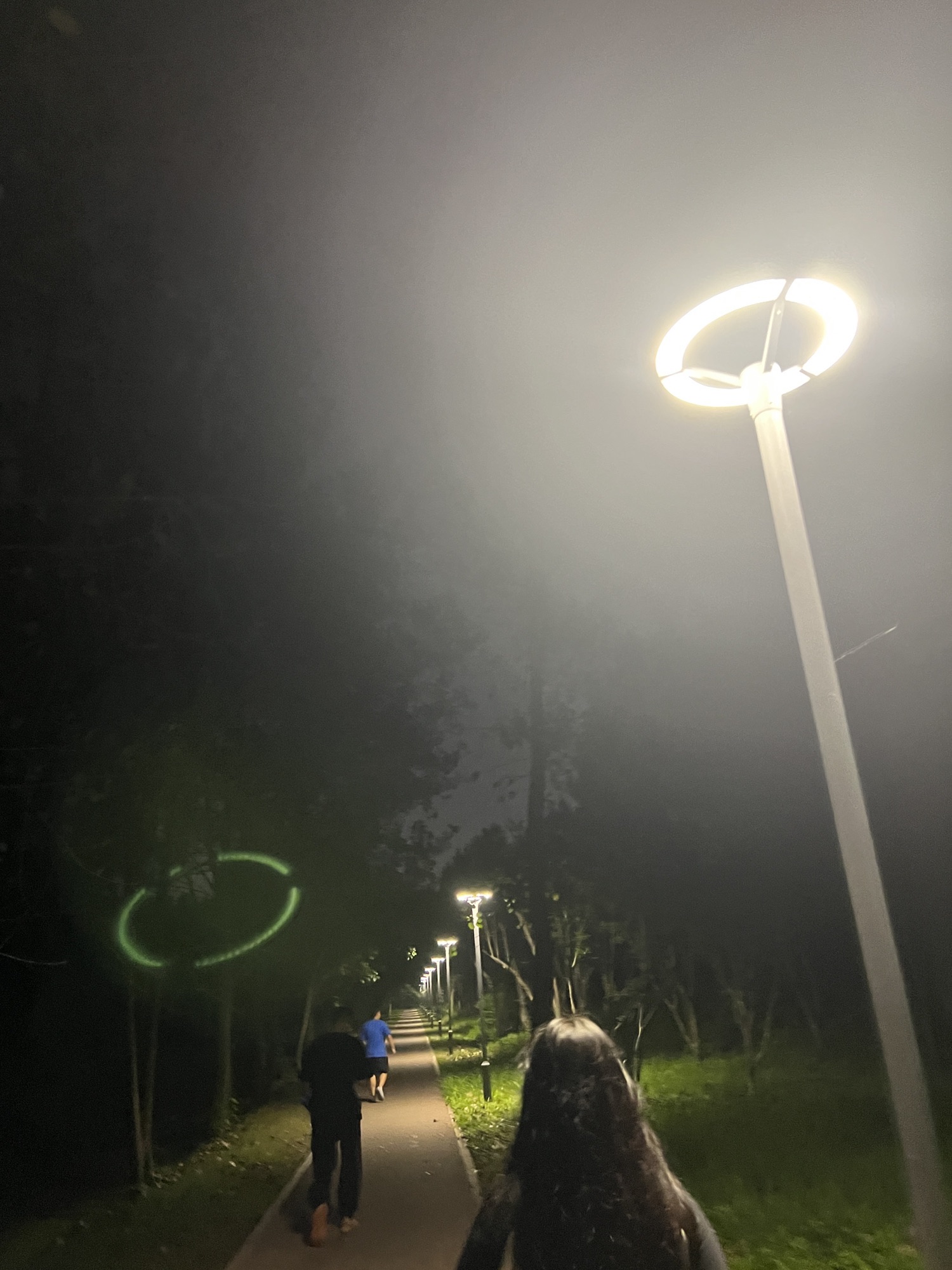 中央公园旅行图片 2
