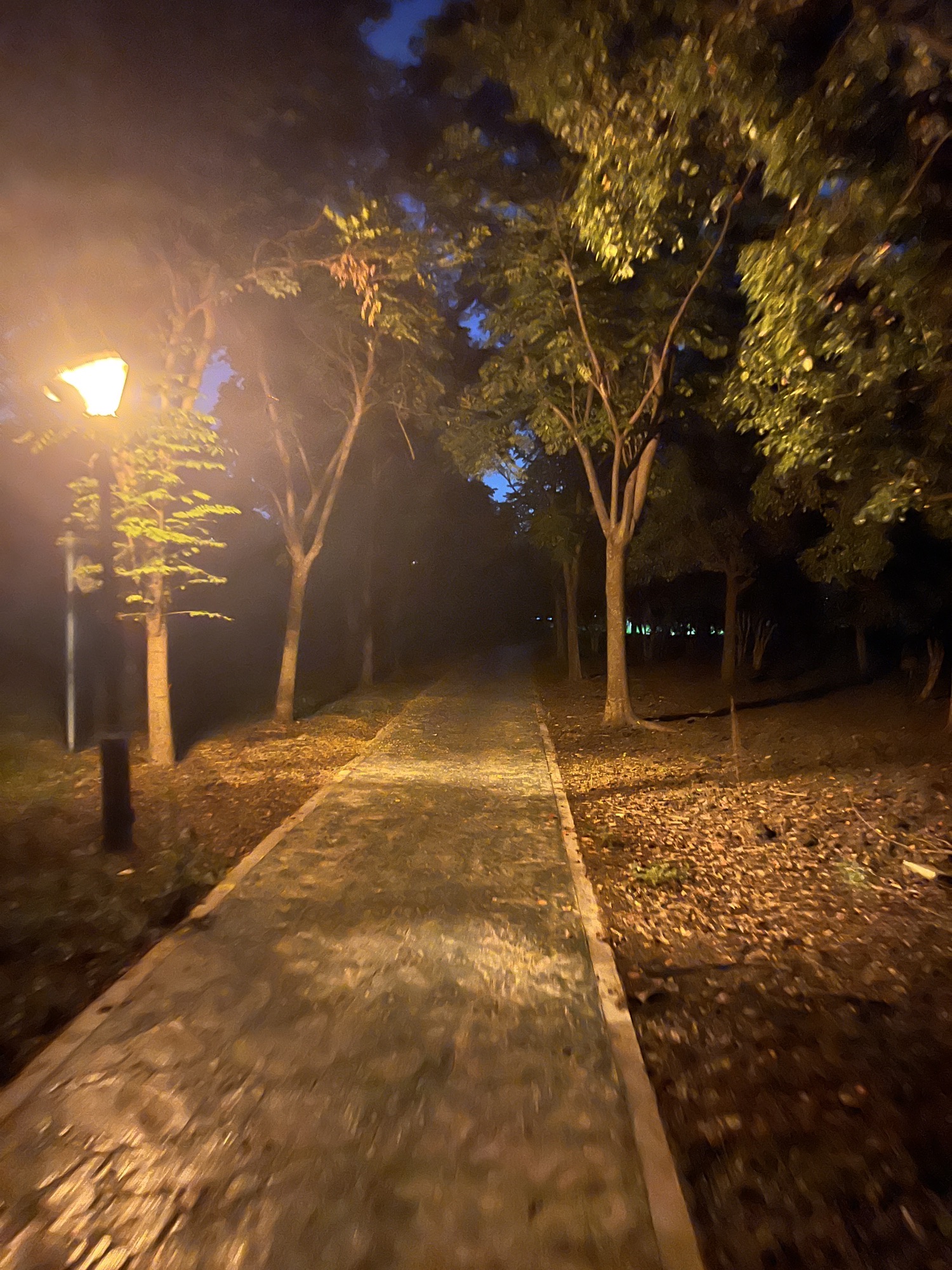 中央公园旅行图片 3