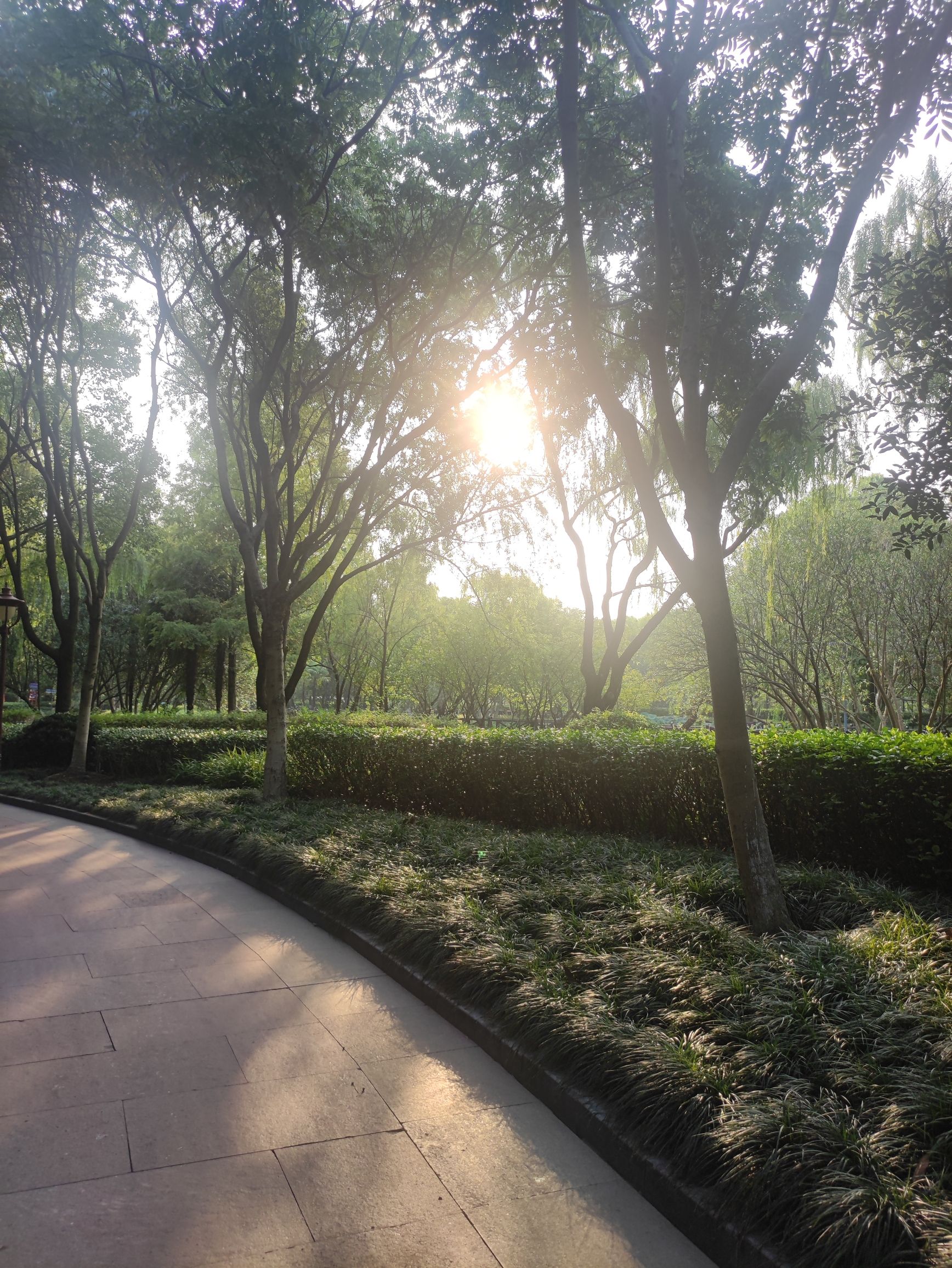 春晓文化公园旅行图片 3