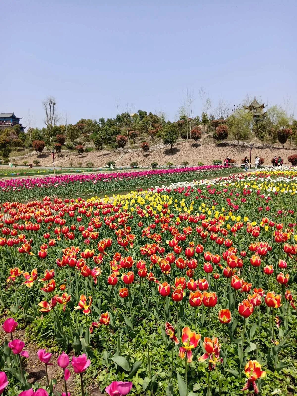 汇丰农民公园旅行图片 2