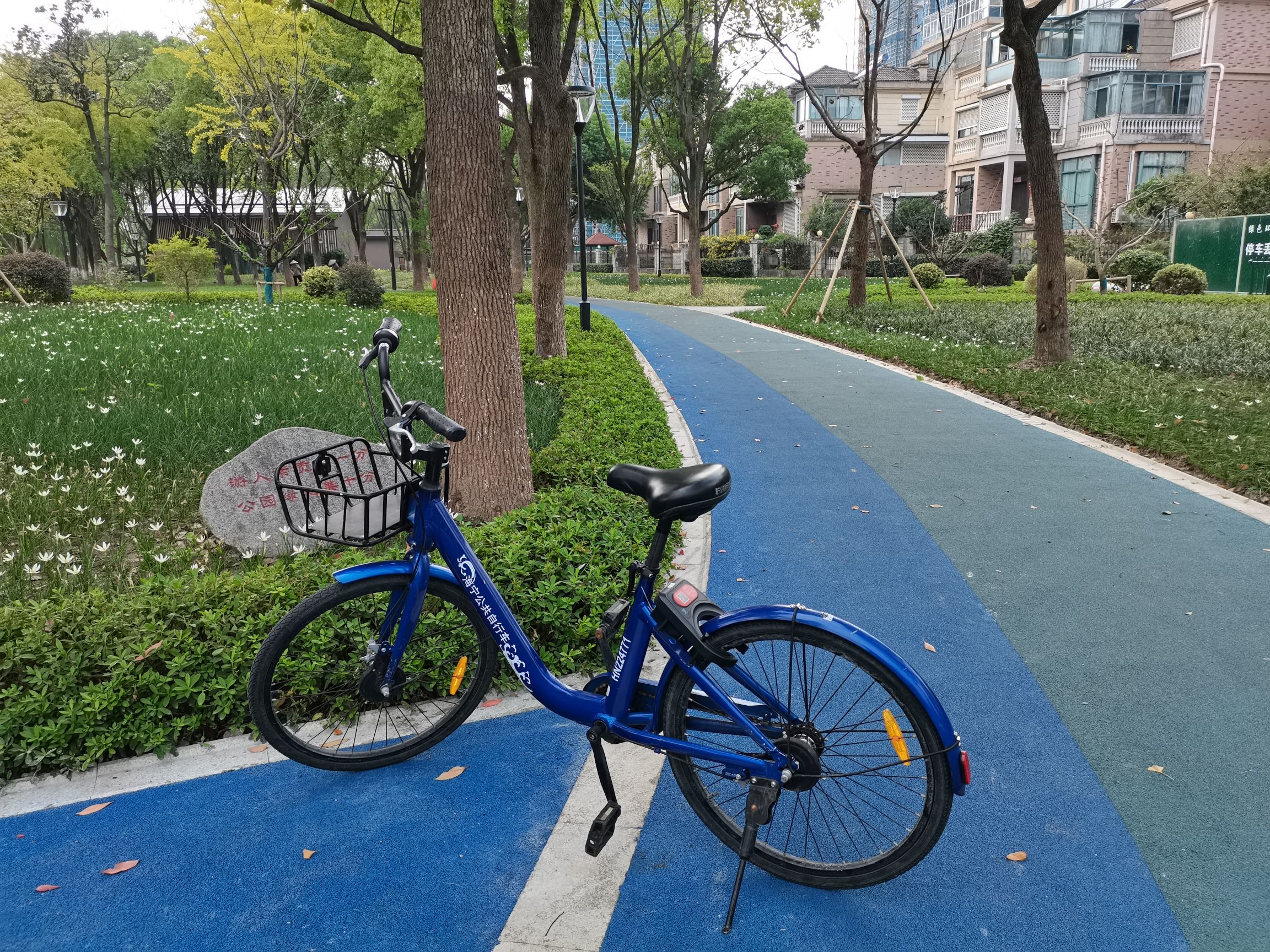 洛塘河公园旅行图片 1
