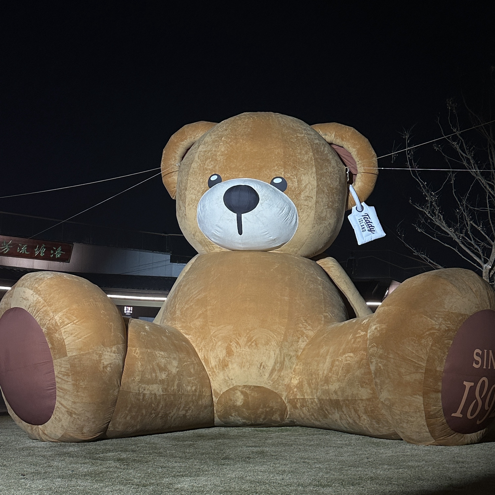 洛塘河公园旅行图片 1