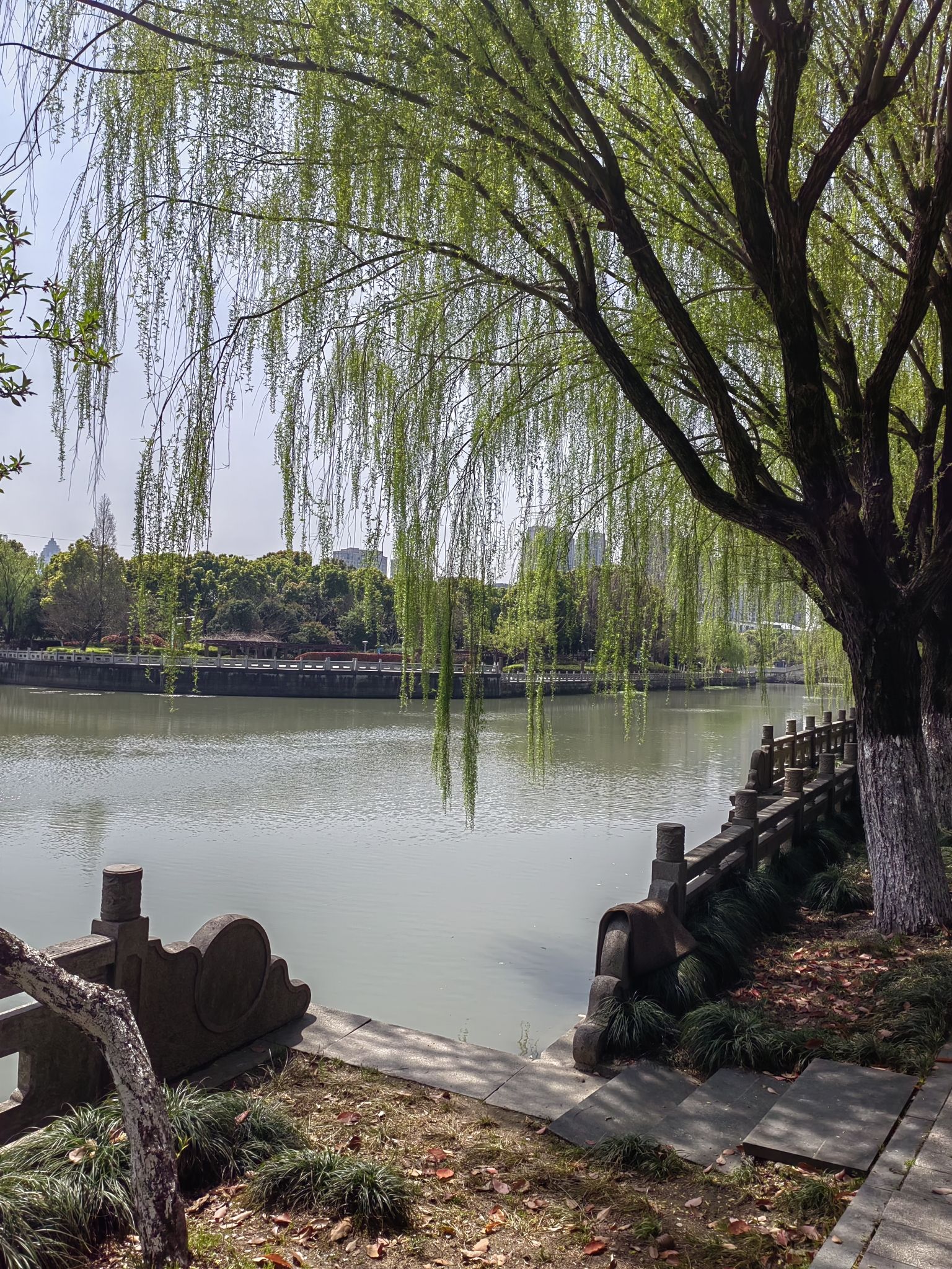 洛塘河公园旅行图片 2