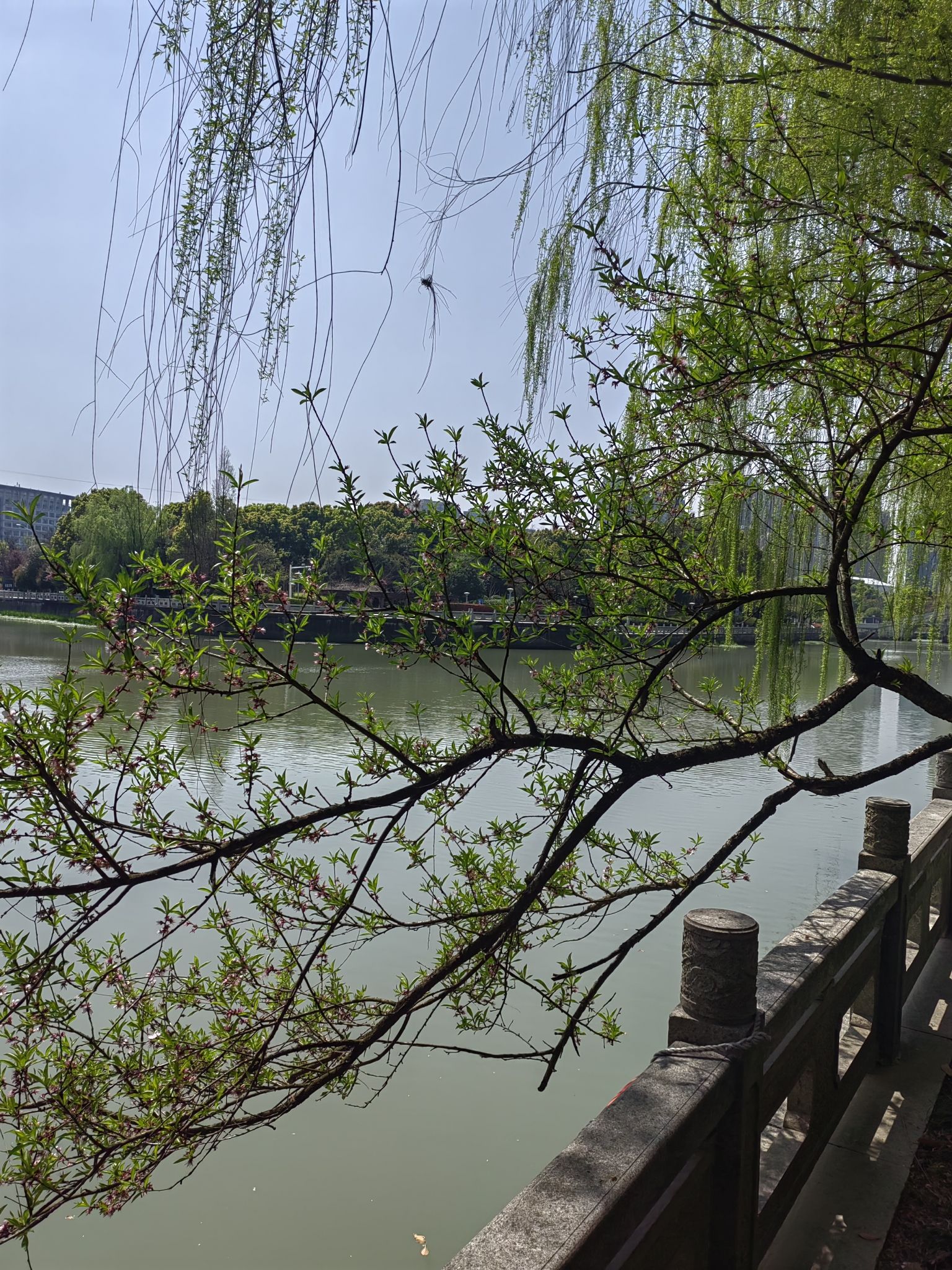洛塘河公园旅行图片 3