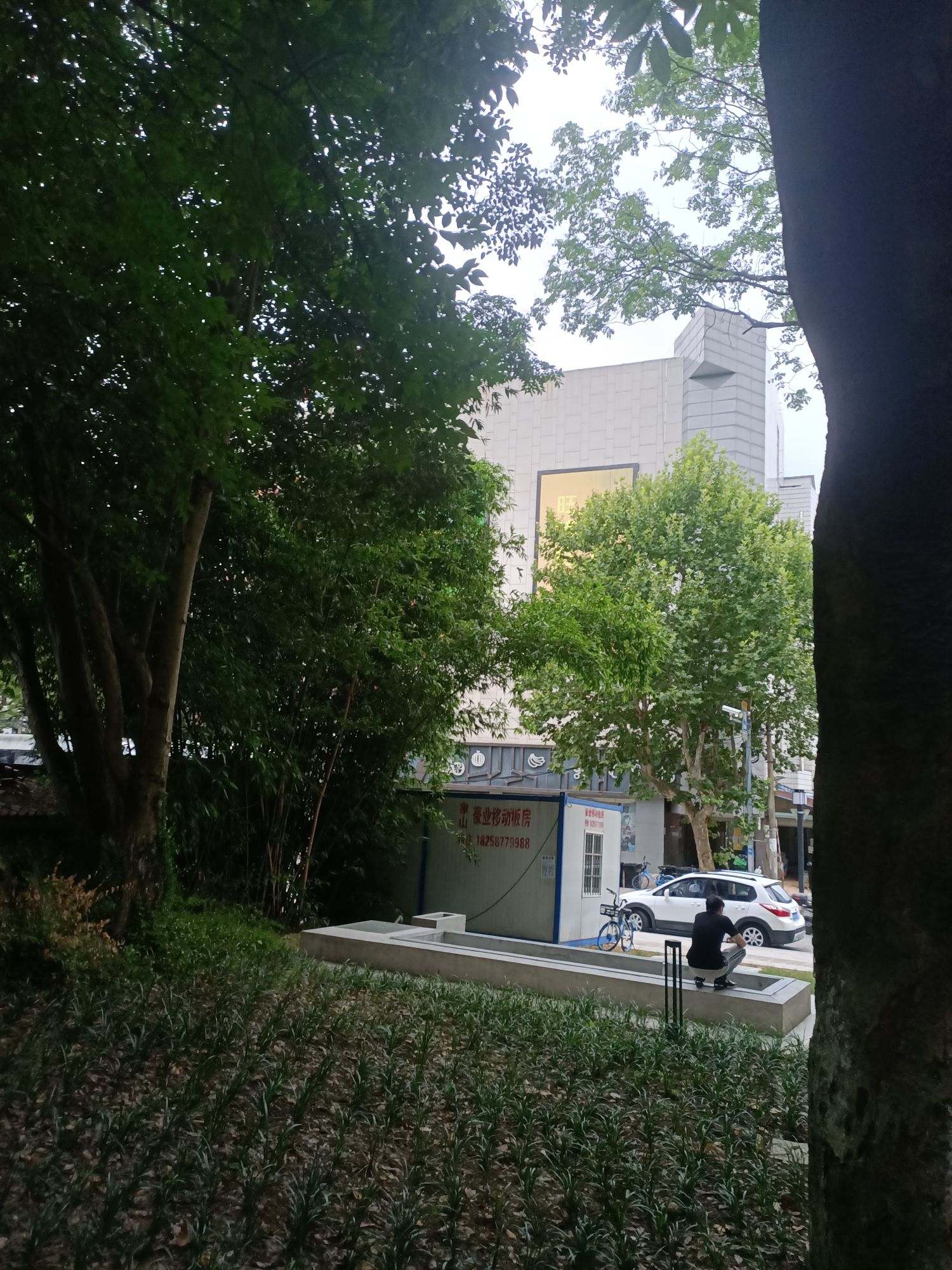 丹城公园旅行图片 2