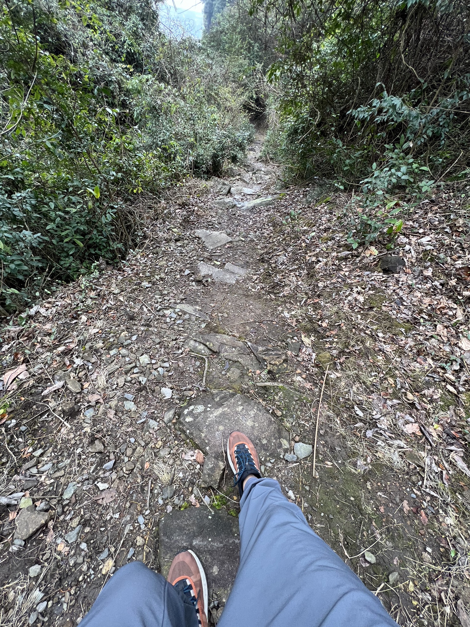 雁苍山风景区旅行图片 3