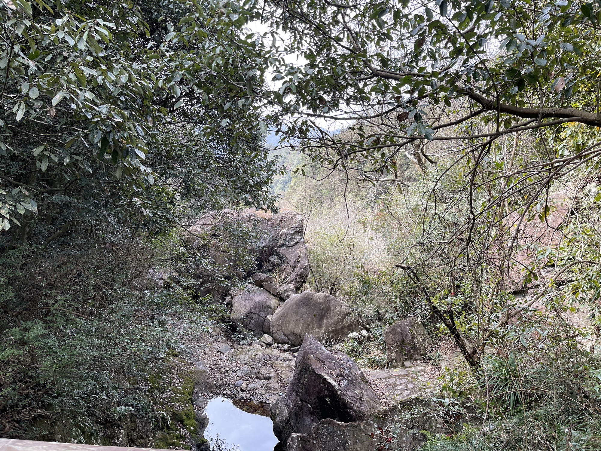 雁苍山风景区旅行图片 3