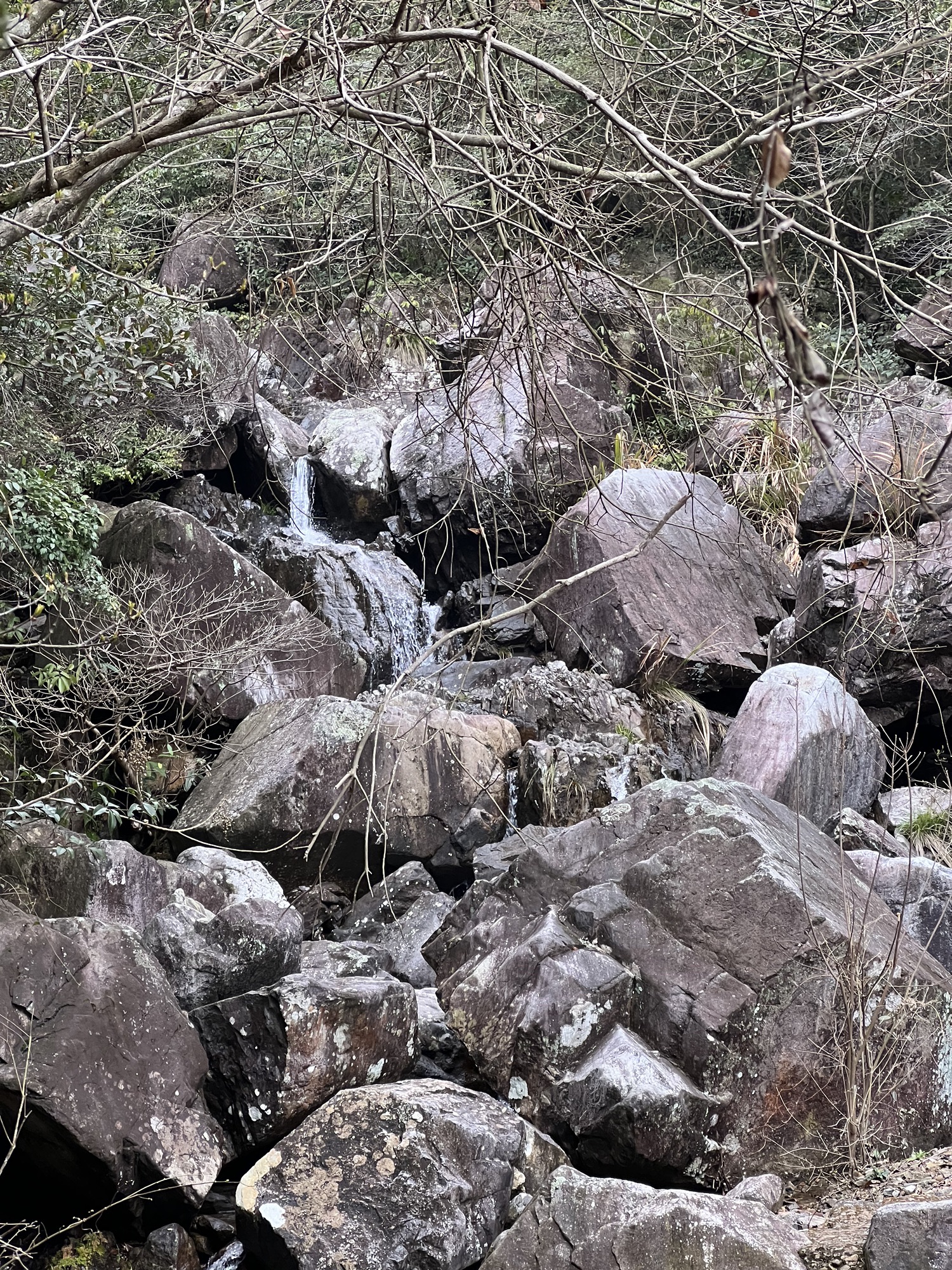雁苍山风景区旅行图片 2