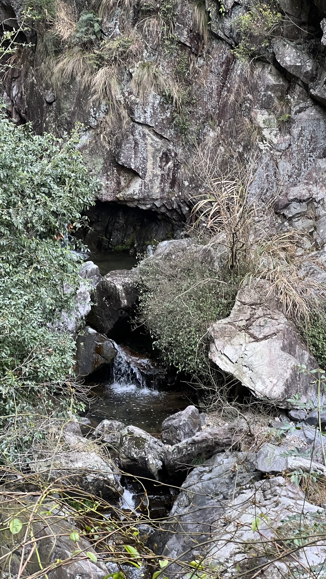 雁苍山风景区旅行图片 1