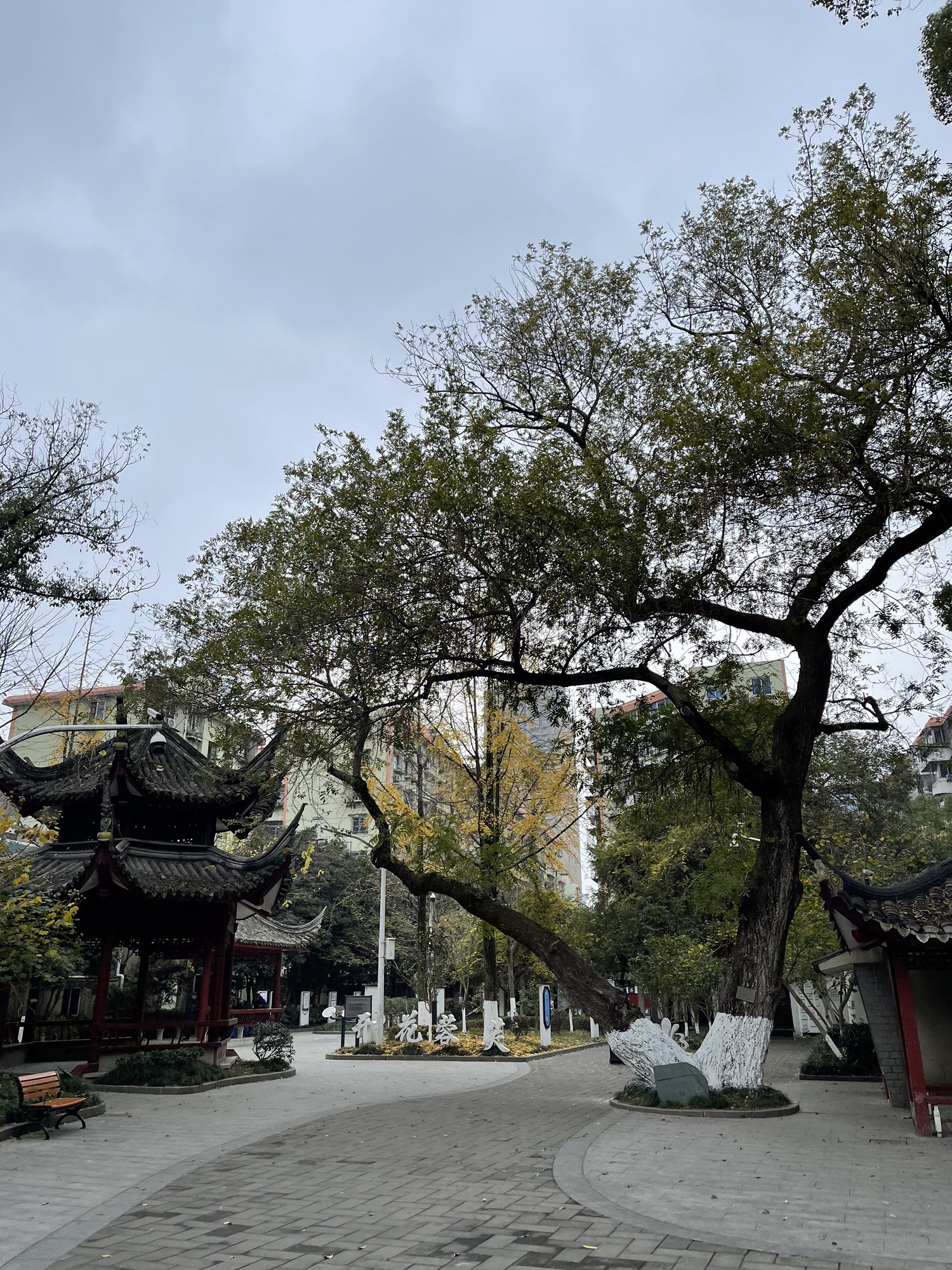 大步公园旅行图片 3