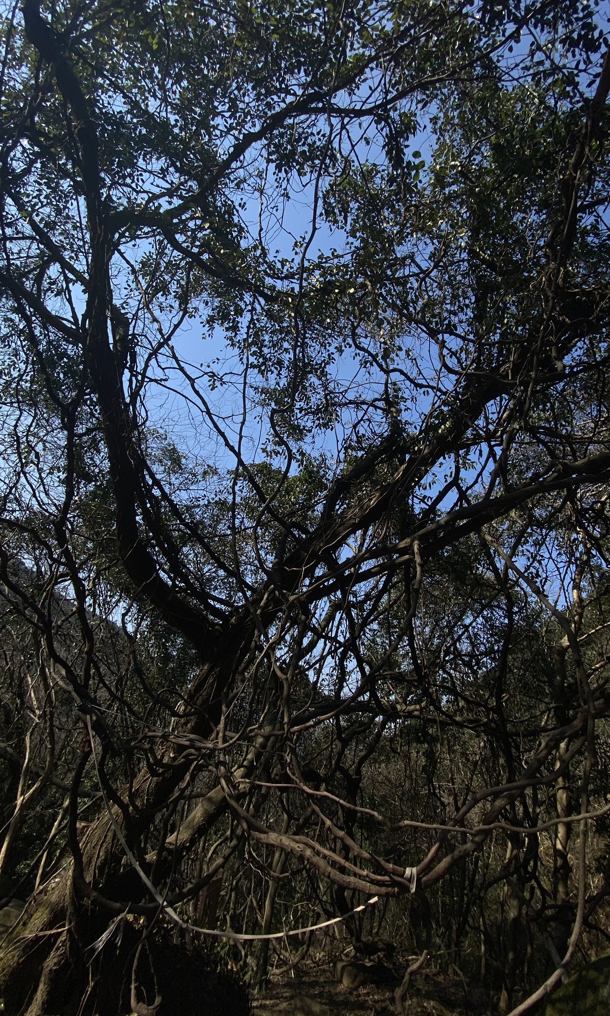 慈溪市五磊山风景区旅行图片 3