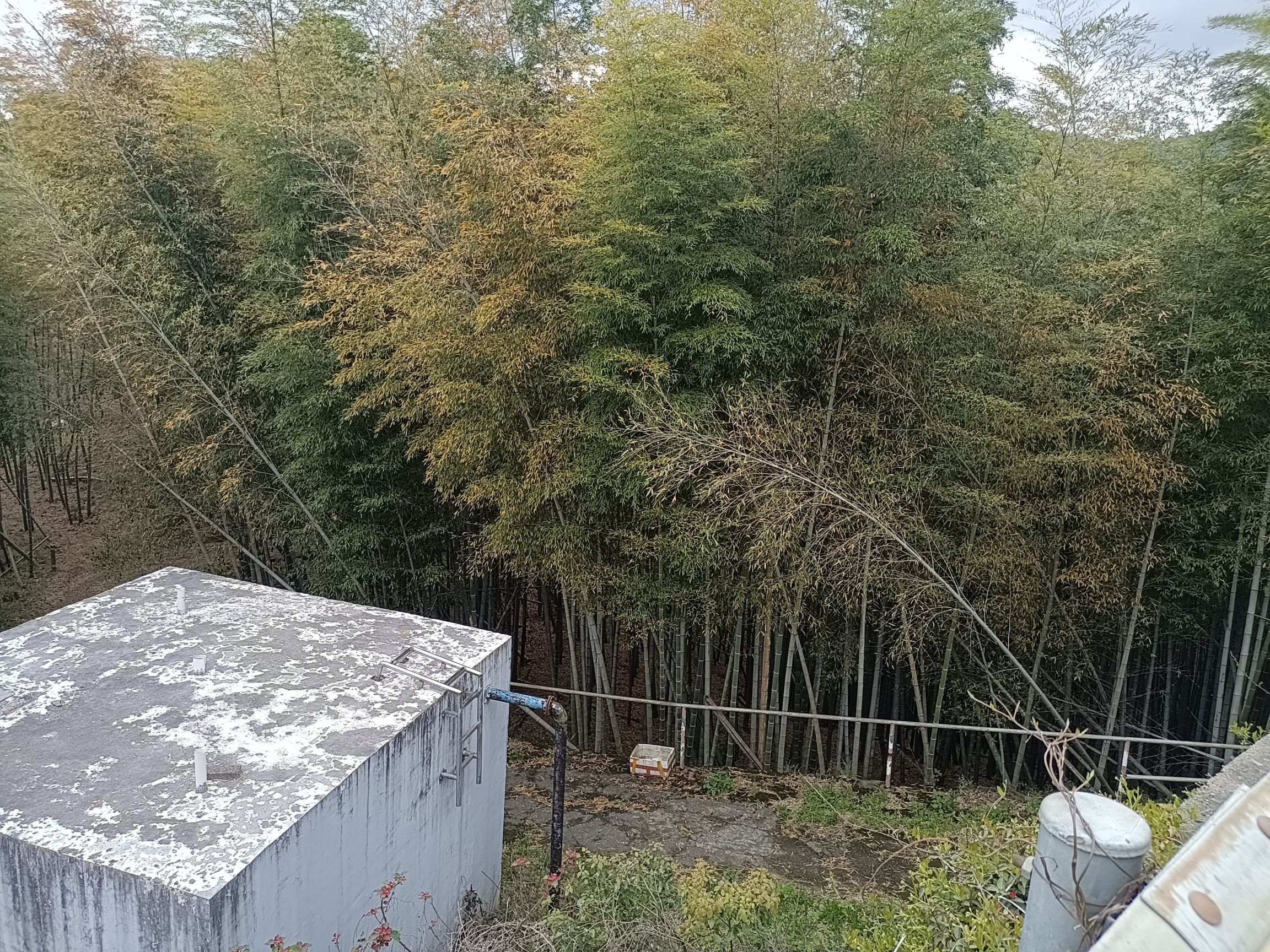 慈溪市五磊山风景区旅行图片 3