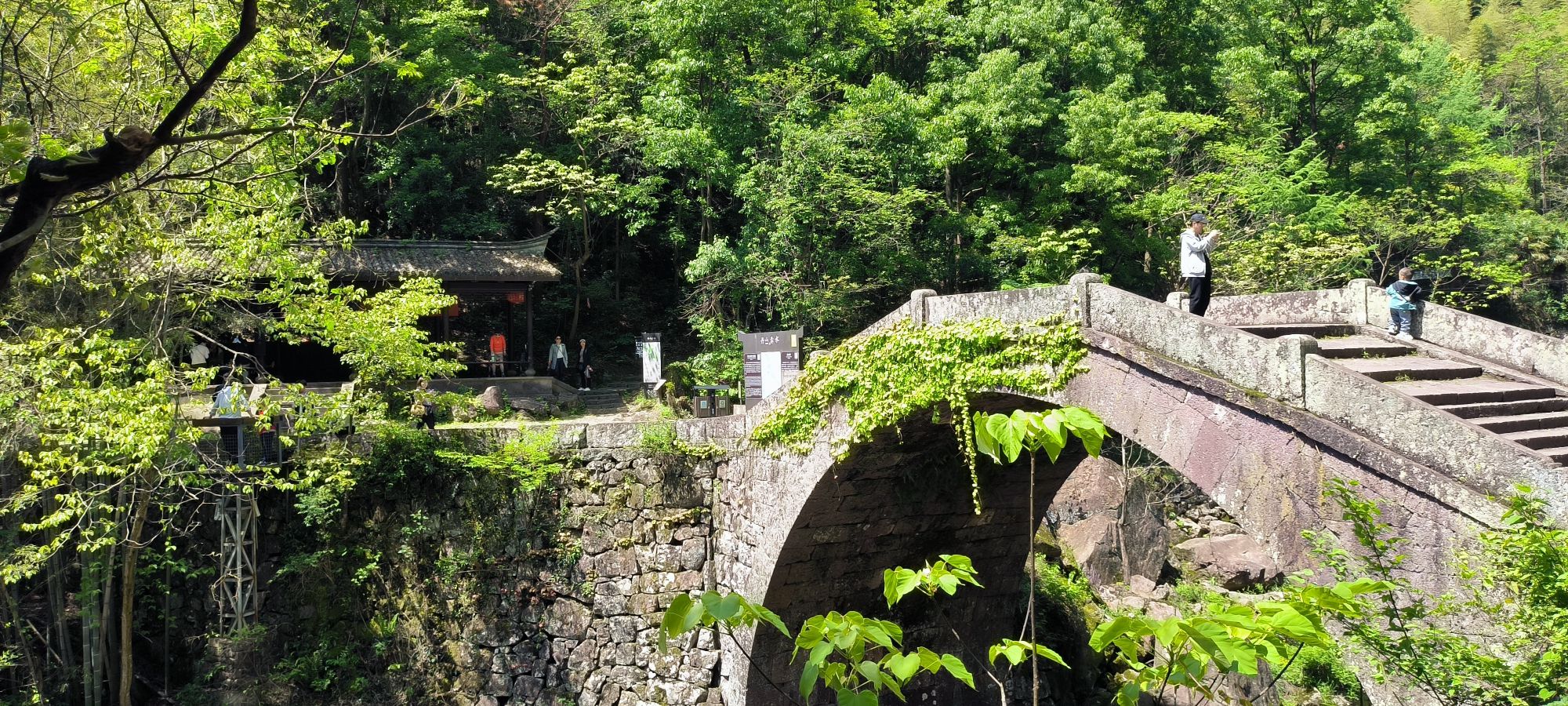 丹山赤水风景区旅行图片 2