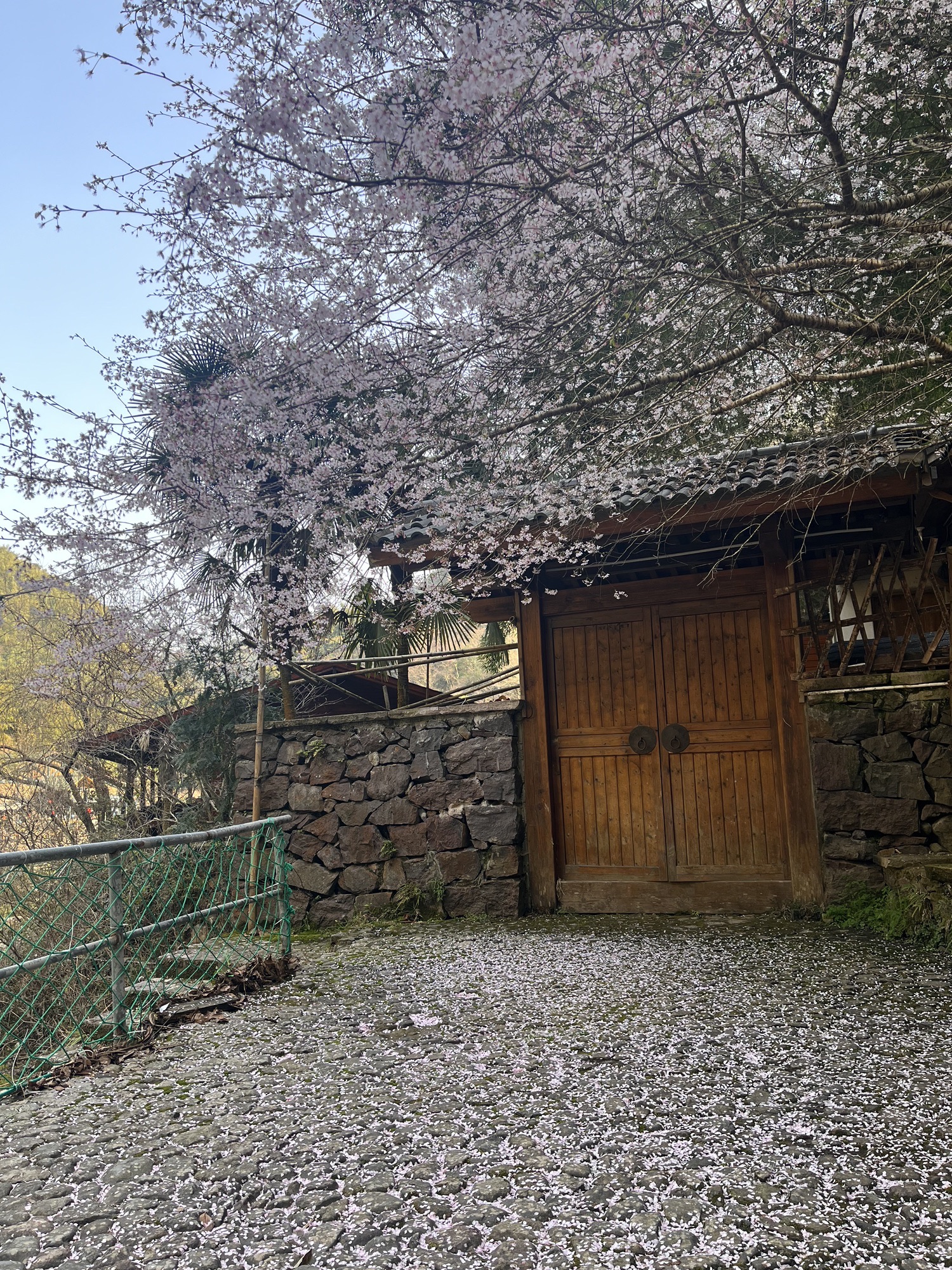 丹山赤水风景区旅行图片 2