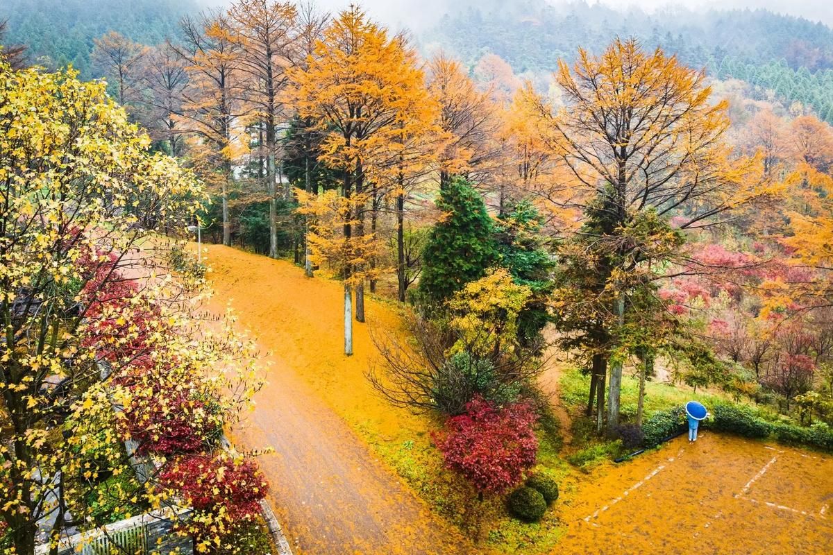 四明山国家森林公园旅行图片 3