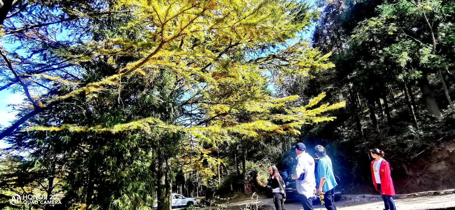 四明山国家森林公园旅行图片 1