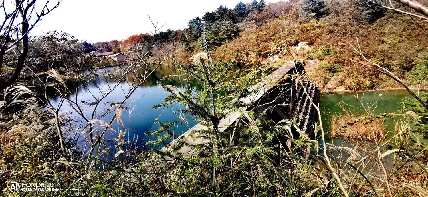 四明山国家森林公园旅行图片 2