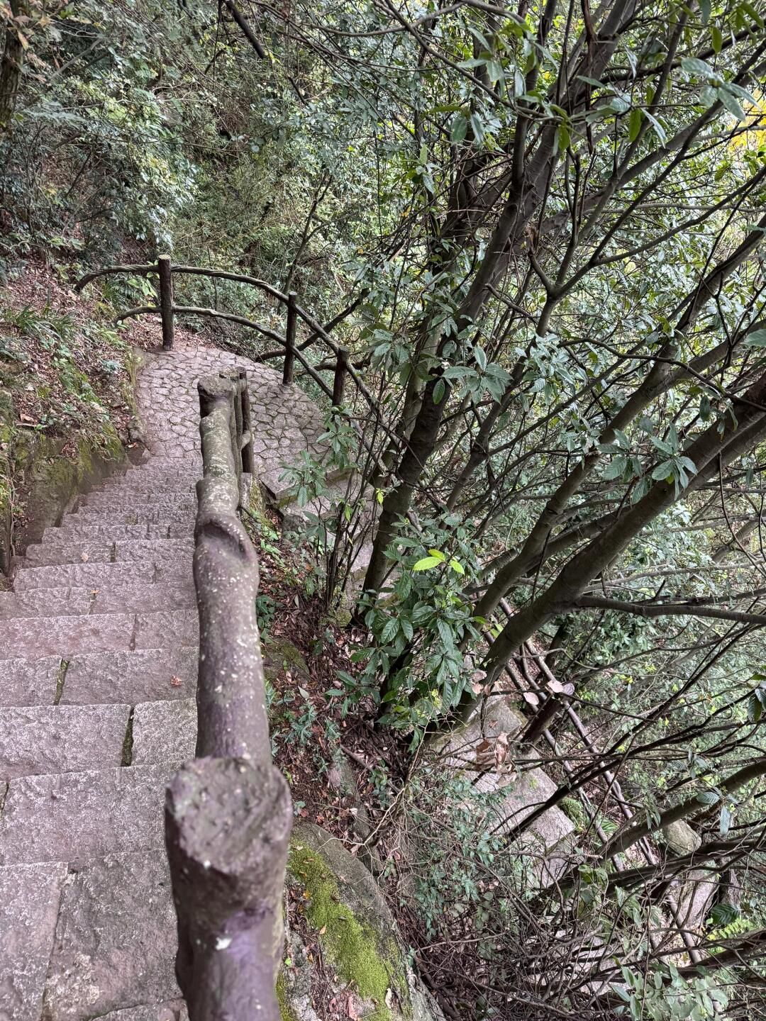四明山国家森林公园旅行图片 1