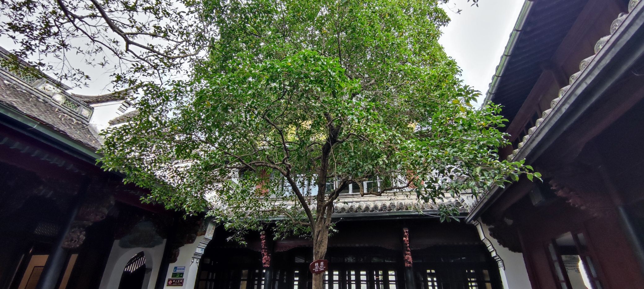民国大杂院旅行图片 3