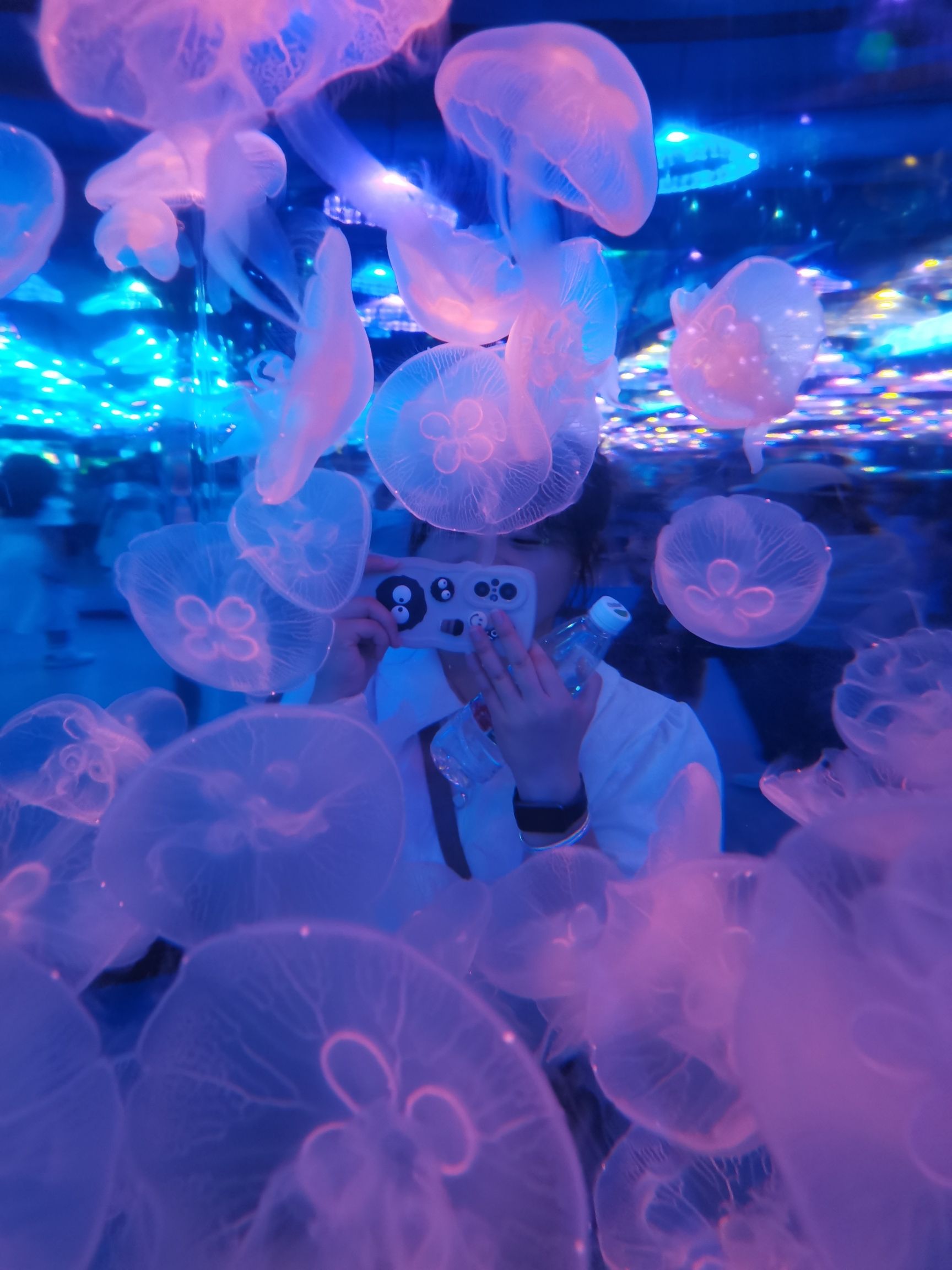 宁波海洋世界旅行图片 1