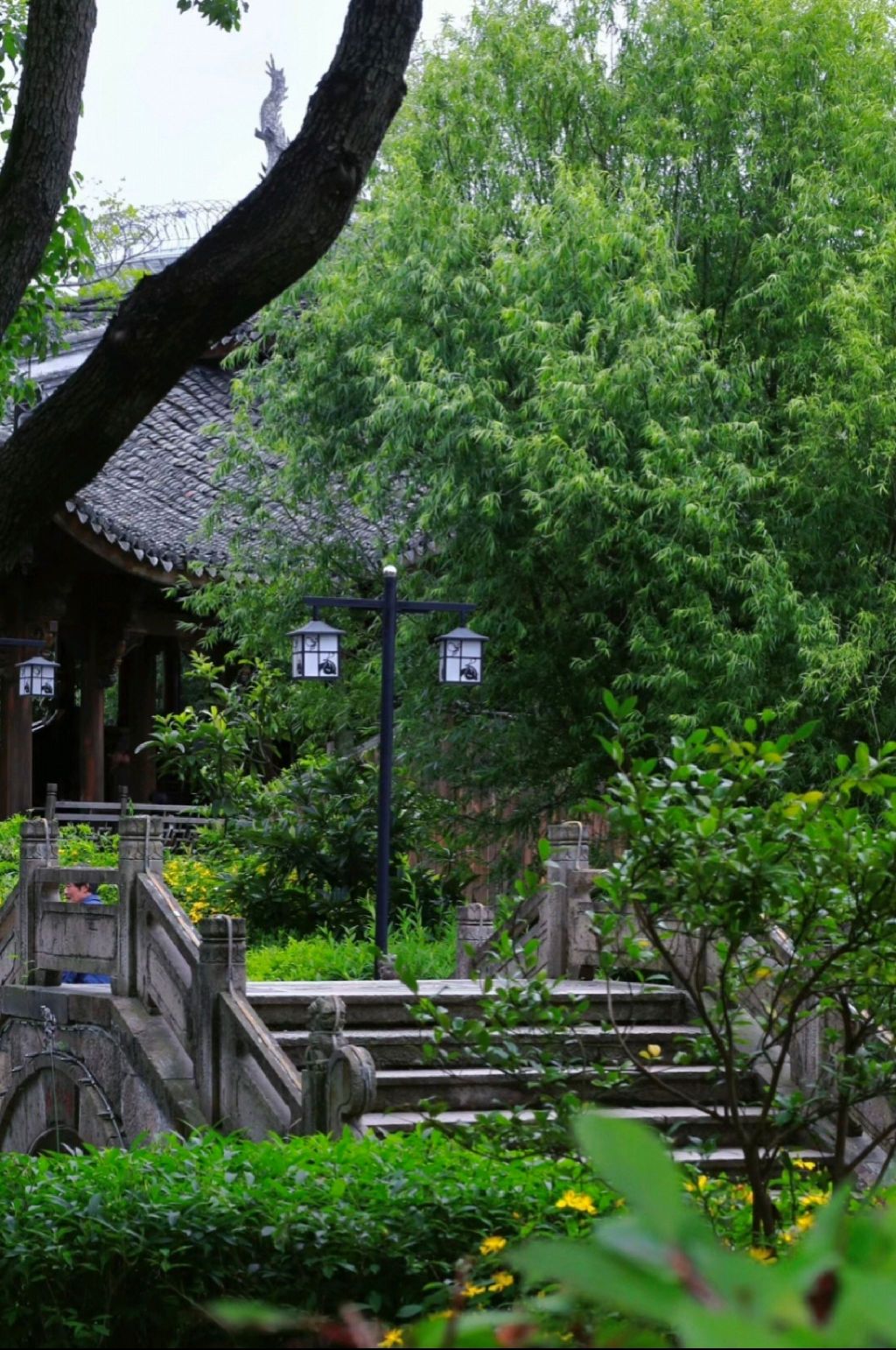 梁祝文化园旅行图片 1