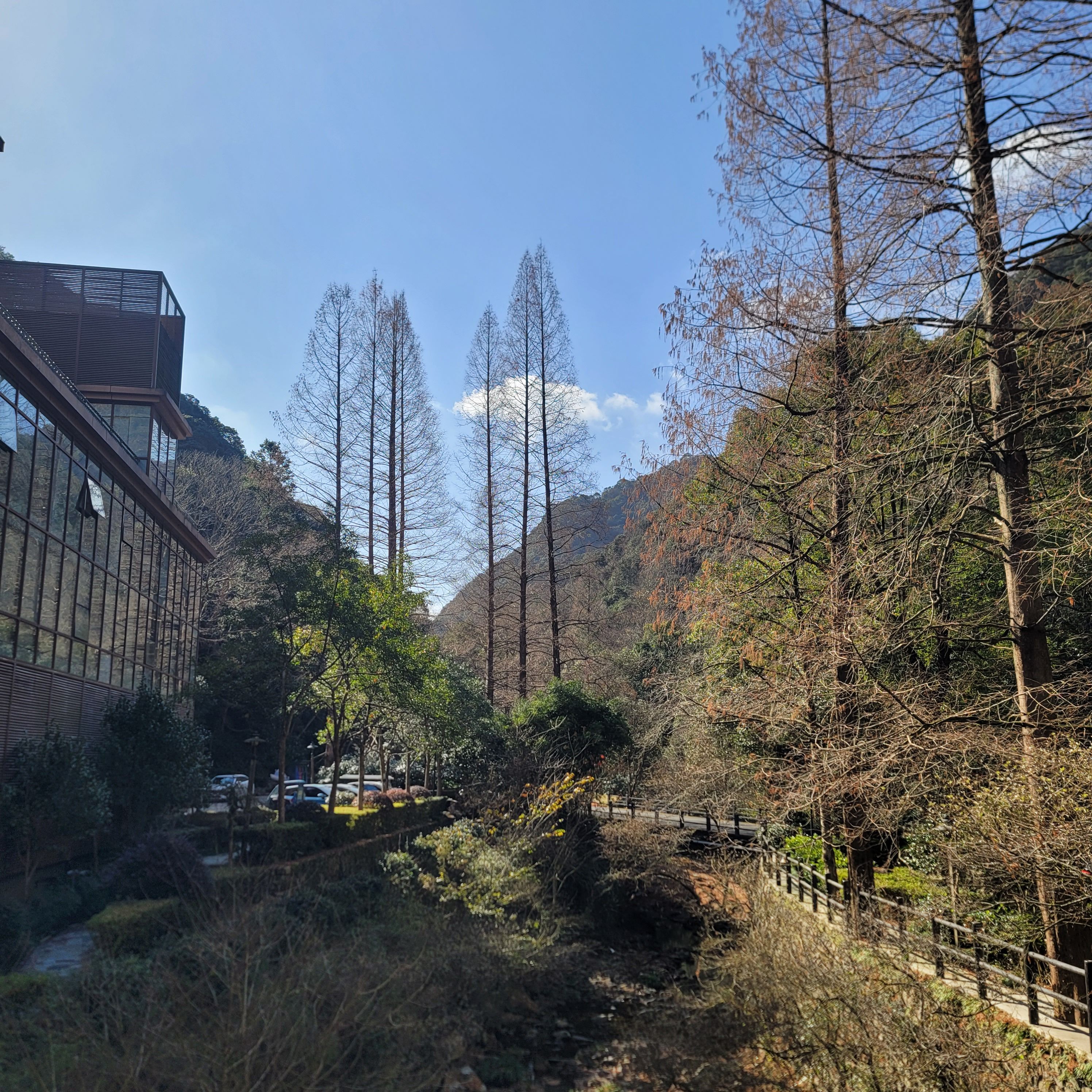 宁海森林温泉旅游度假区旅行图片 3
