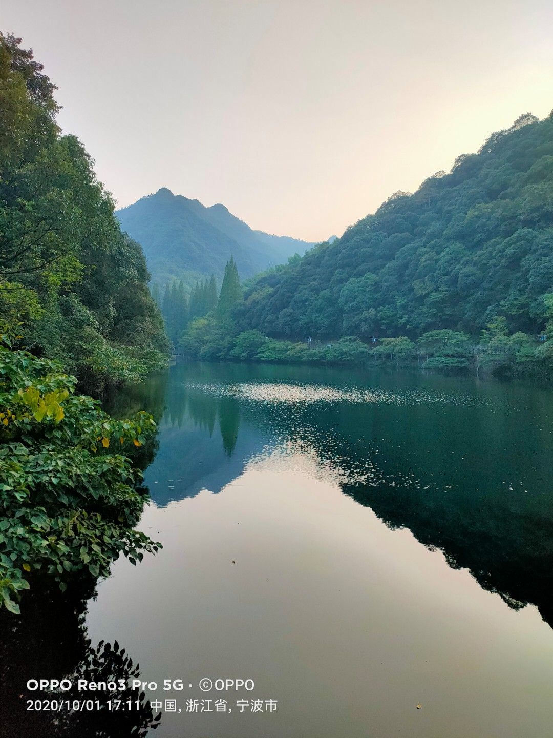 宁海森林温泉旅游度假区旅行图片 1