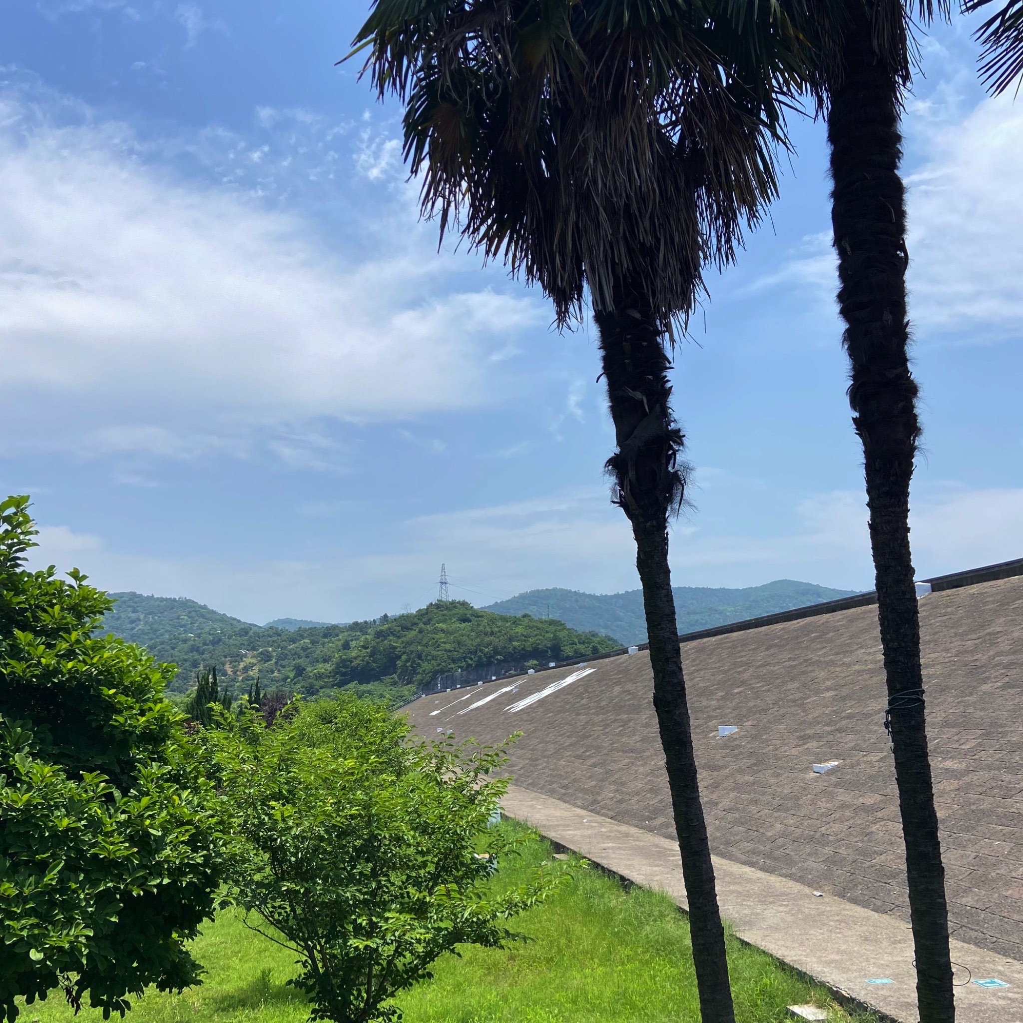 上林湖旅行图片 1