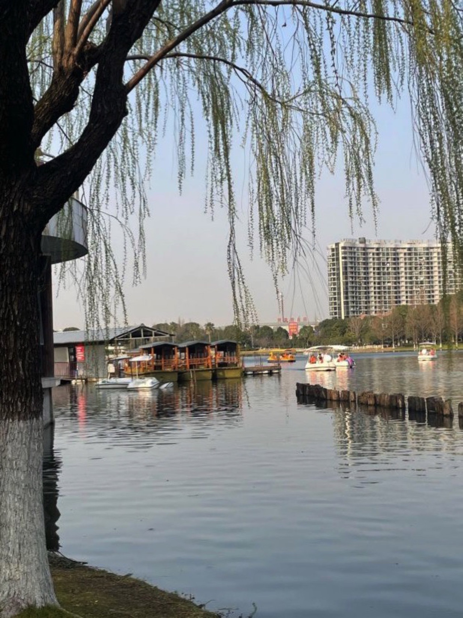 日湖公园旅行图片 2