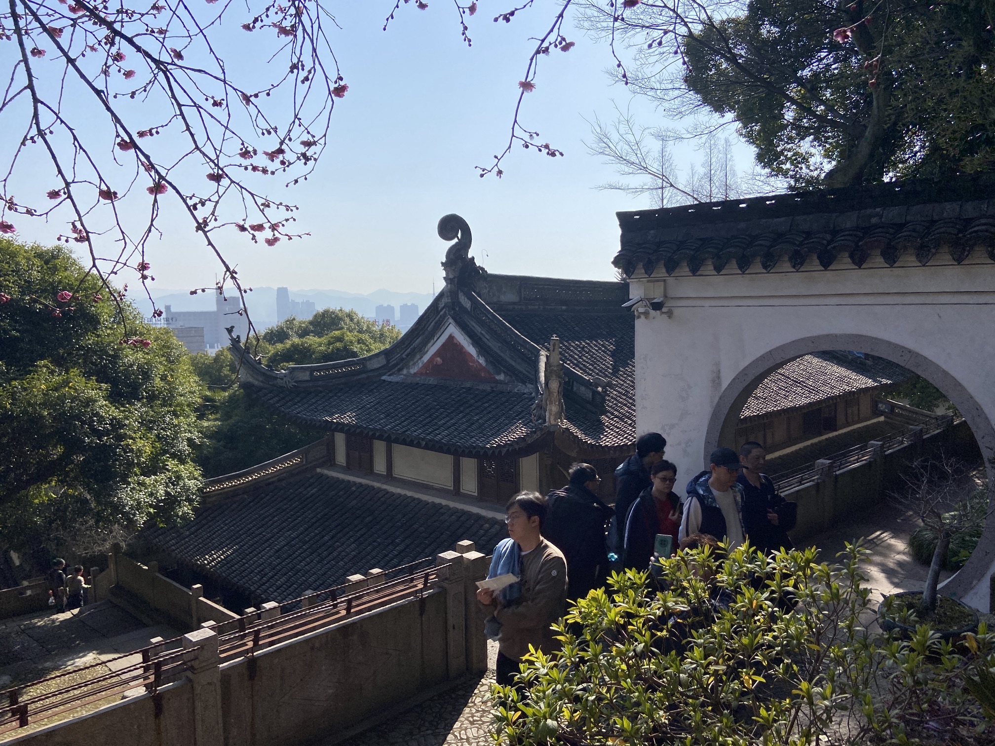 龙山公园旅行图片 1