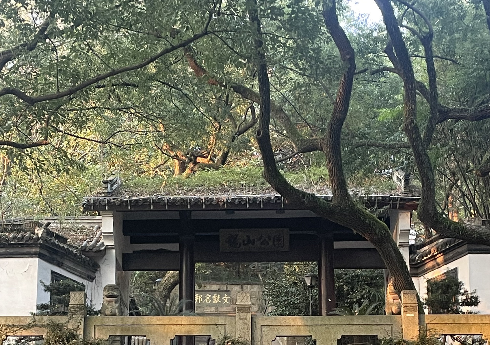 龙山公园旅行图片 1