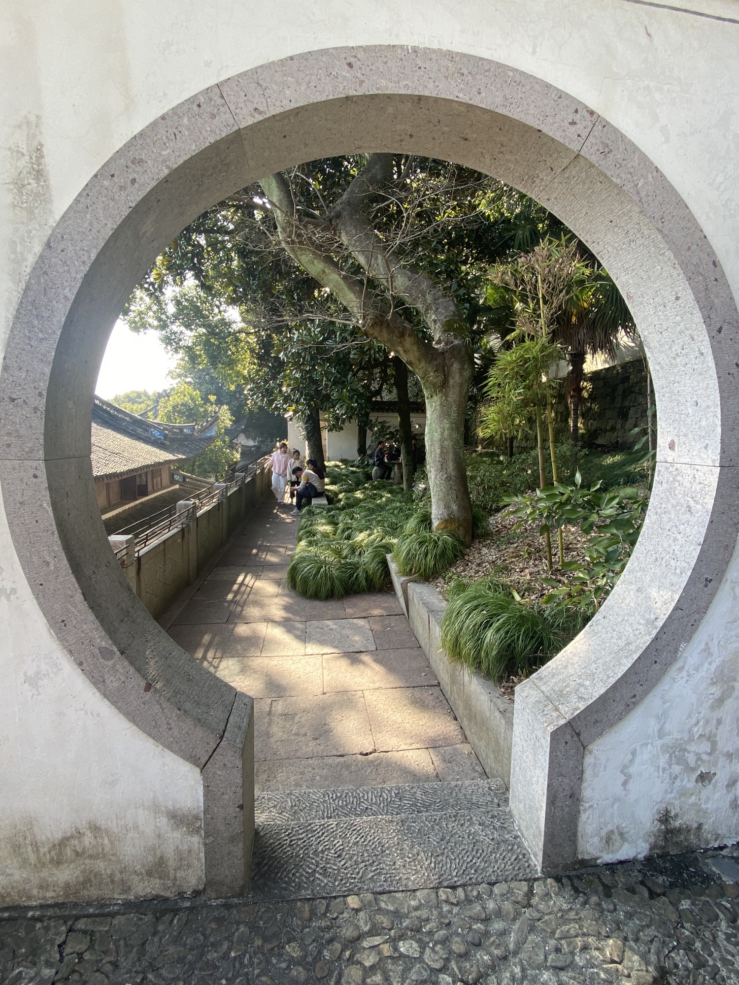 龙山公园旅行图片 3