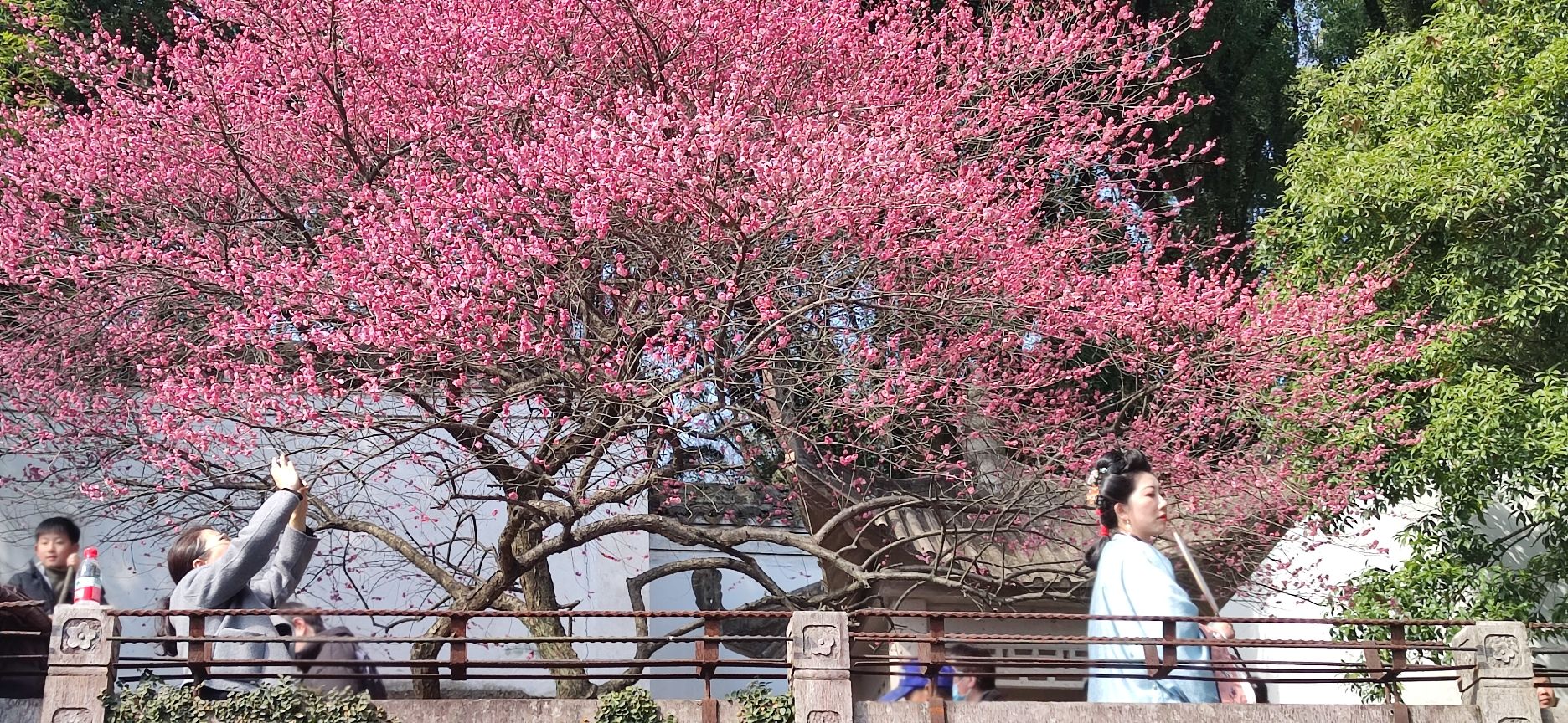 龙山公园旅行图片 3